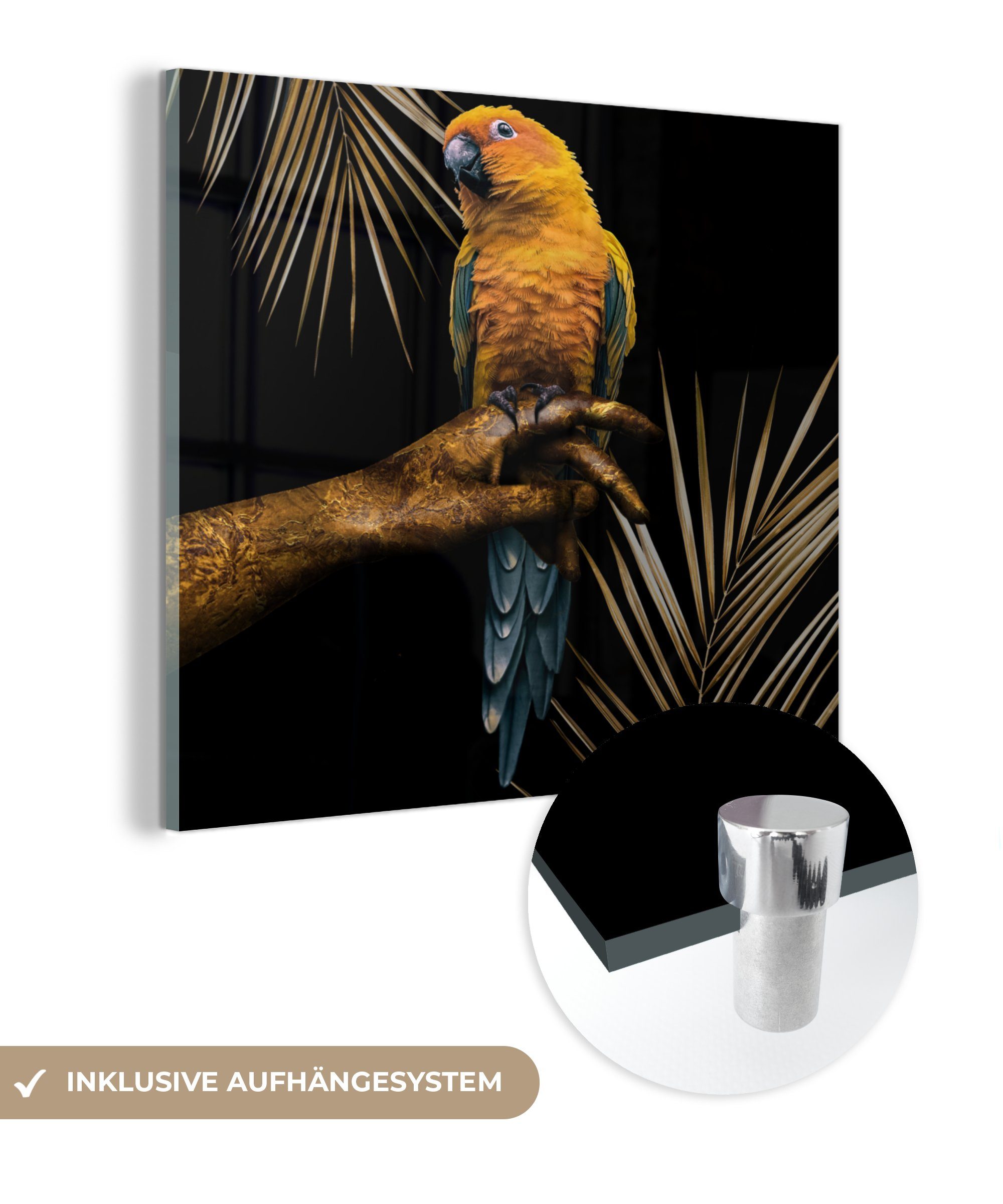 MuchoWow Acrylglasbild Vogel - Papagei - Hand - Gold, (1 St), Glasbilder - Bilder auf Glas Wandbild - Foto auf Glas - Wanddekoration