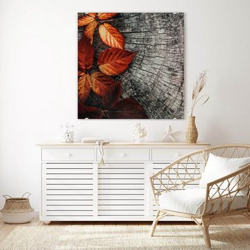 Primedeco Glasbild Wandbild Quadratisch Herbstblätter auf Stamm mit Aufhängung, Natur