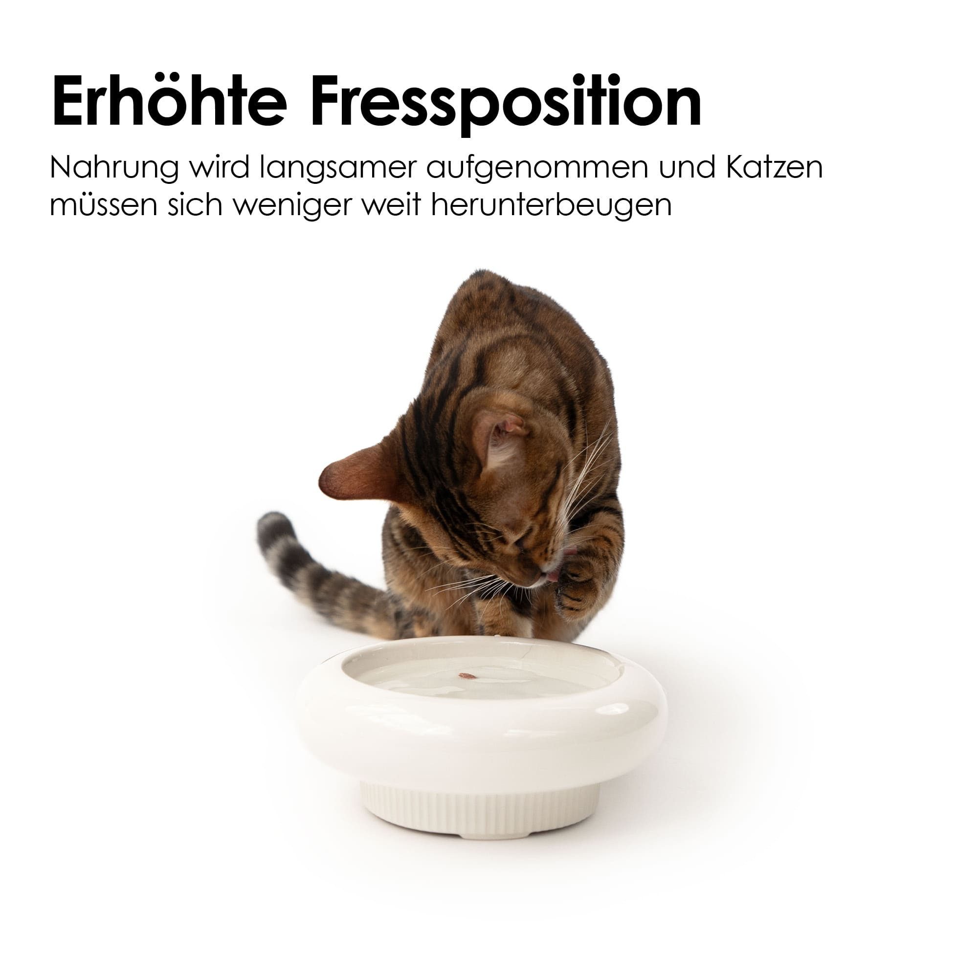 LucyBalu Futternapf MYCO erhöhter Katzennapf aus Keramik, Stoneware, Ergonomischer Futter- und Trinknapf für Katzen