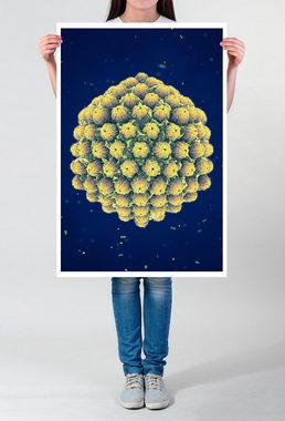 Sinus Art Poster 60x90cm Poster Wissenschaftliche Abbildung  Großabbild eines Herpesvirus
