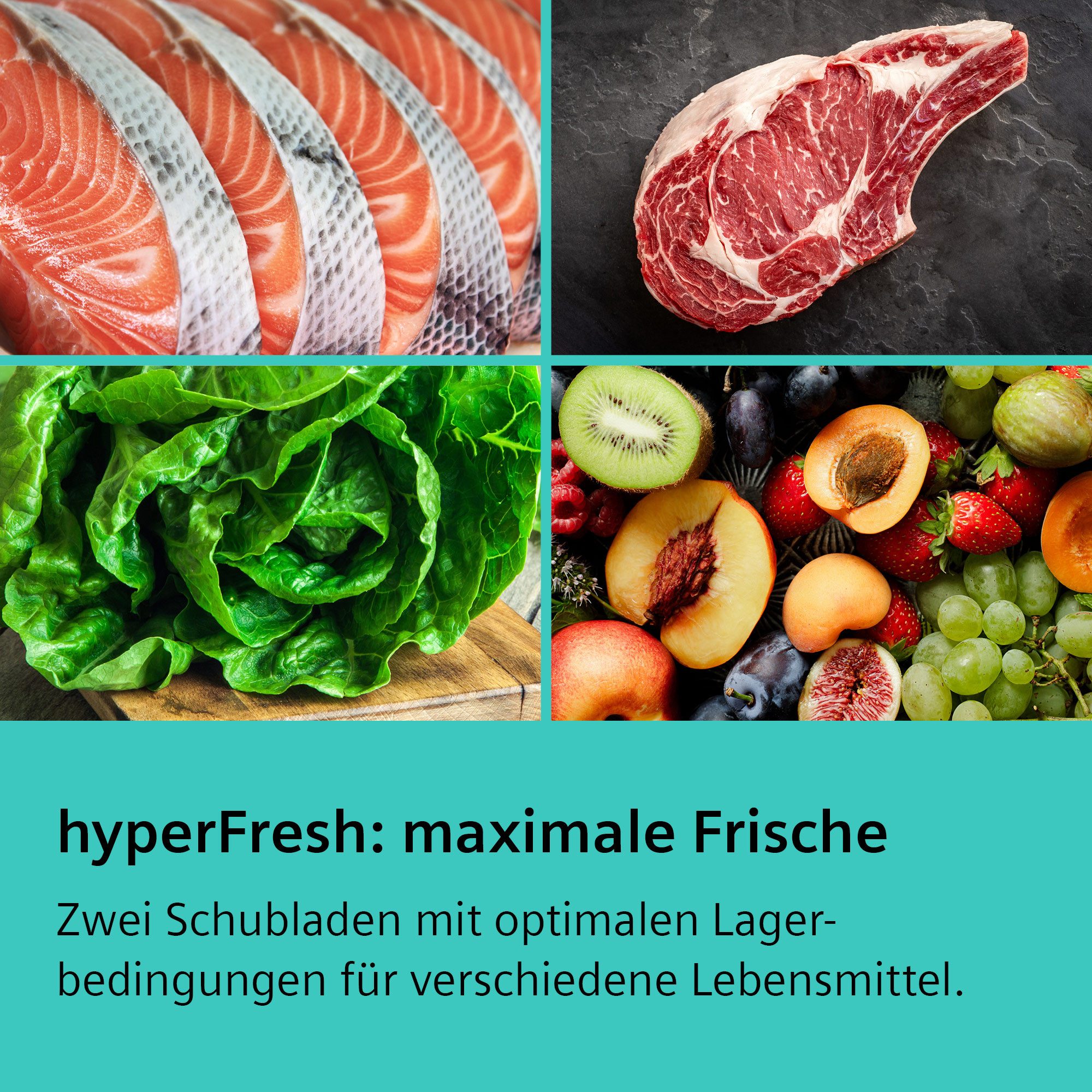 SIEMENS Kühl-/Gefrierkombination iQ500 KG39NAIAU, 203 cm hoch, 60 cm breit, noFrost, hyperFresh 0°C Schublade, freezerLight, LED-Licht