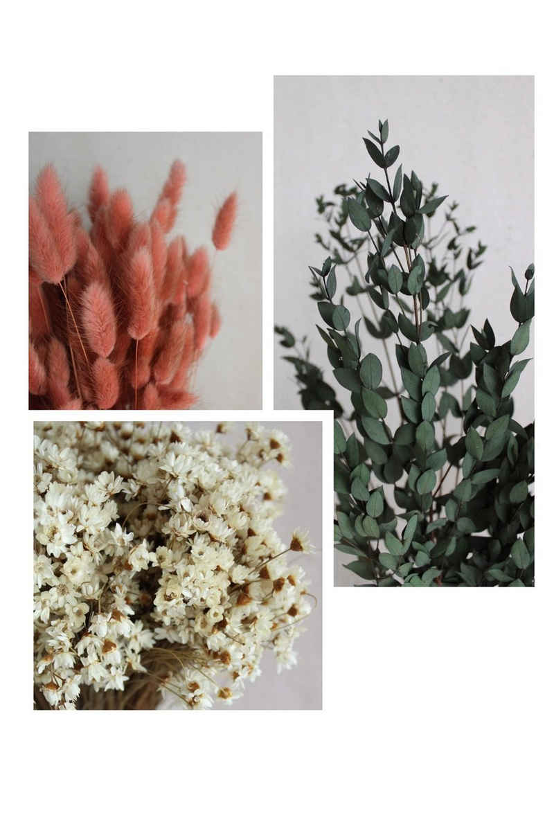 Trockenblume Trockenblumen-Set mit Lagurus, Glixia und Eukalyptus Trockenblumen, Vasenglück