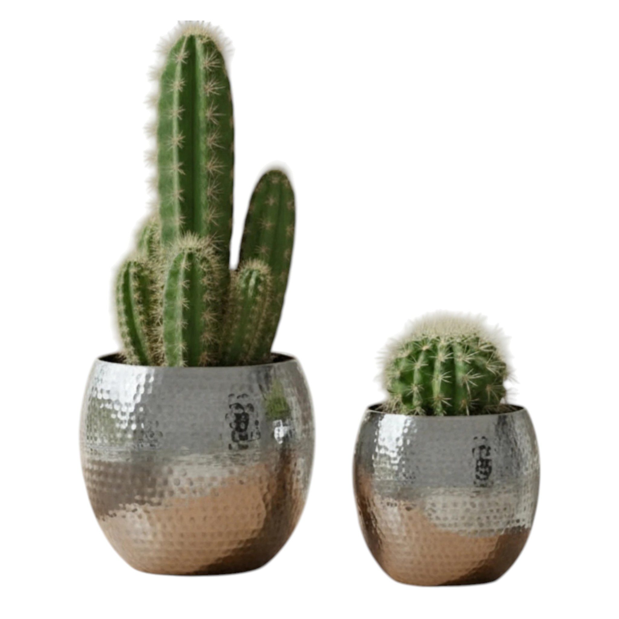 Meinposten Blumentopf 2 Blumentöpfe silber Pflanztopf Aluminium Blumentopf Pflanzentopf (2er Set, 2 St)