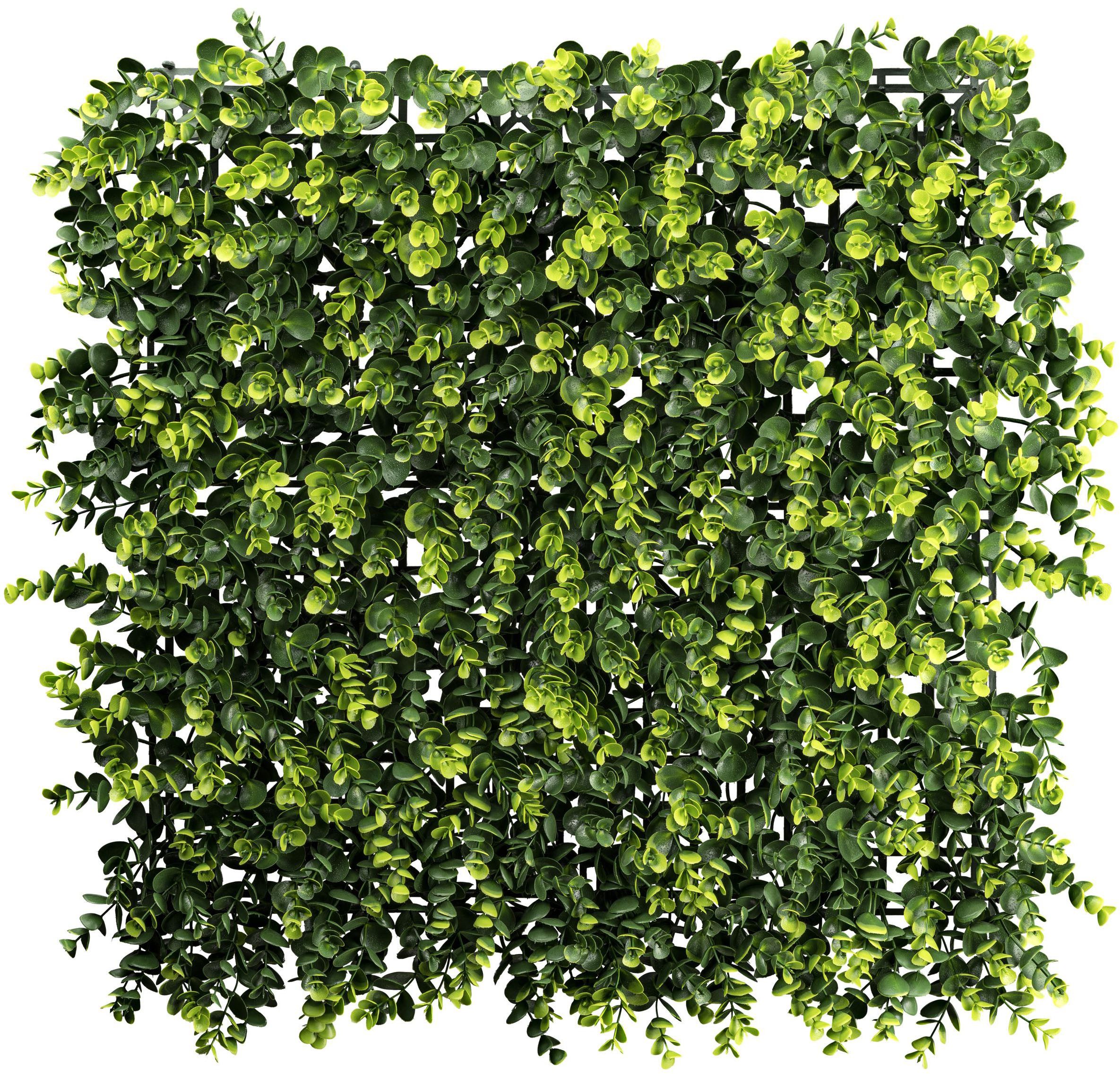 Kunstpflanze Eukalyptusmatte, Creativ green, Höhe 50 cm, in vielseitiger Größe