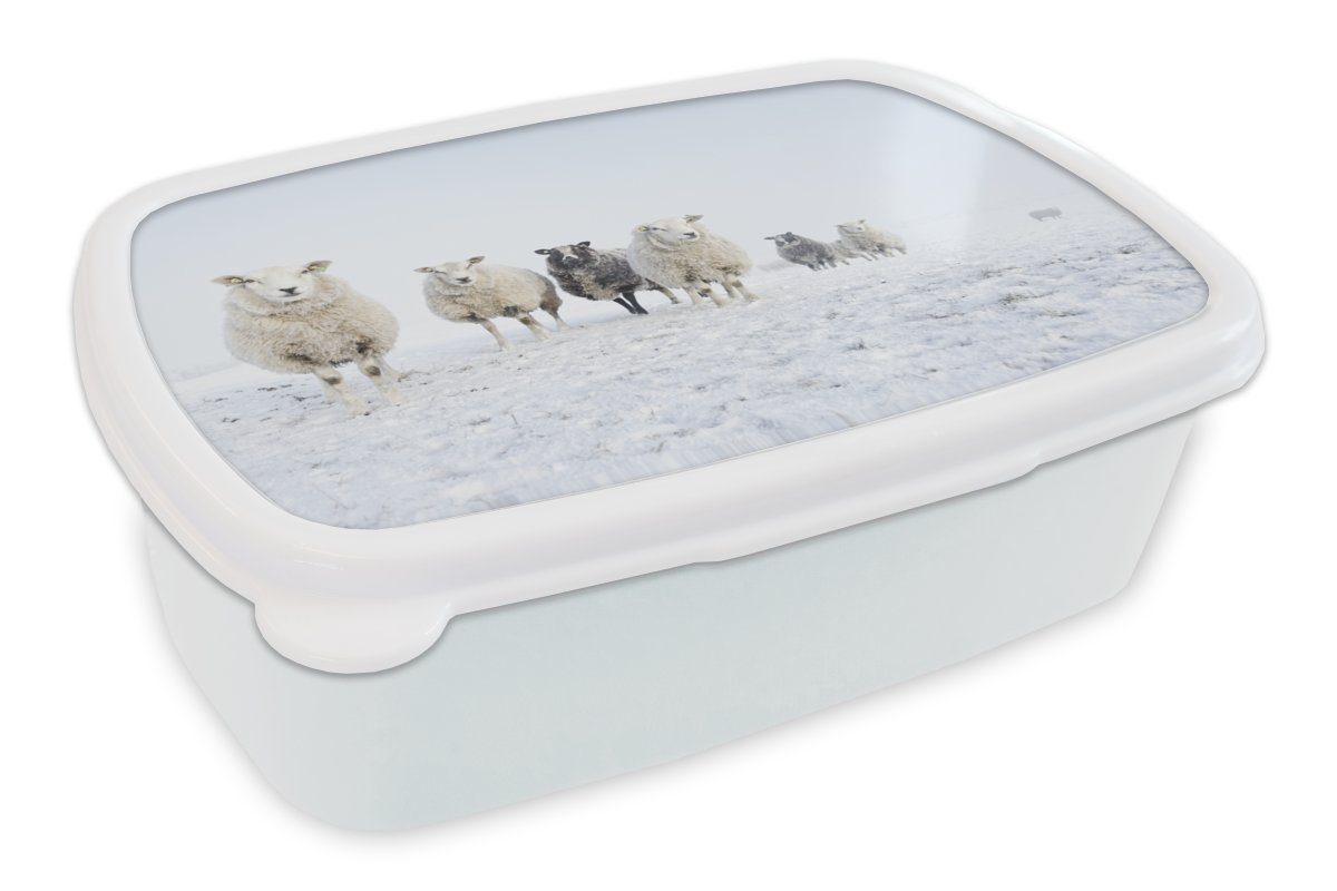 MuchoWow Lunchbox Schafe - Wolle - Schnee, Kunststoff, (2-tlg), Brotbox für Kinder und Erwachsene, Brotdose, für Jungs und Mädchen weiß