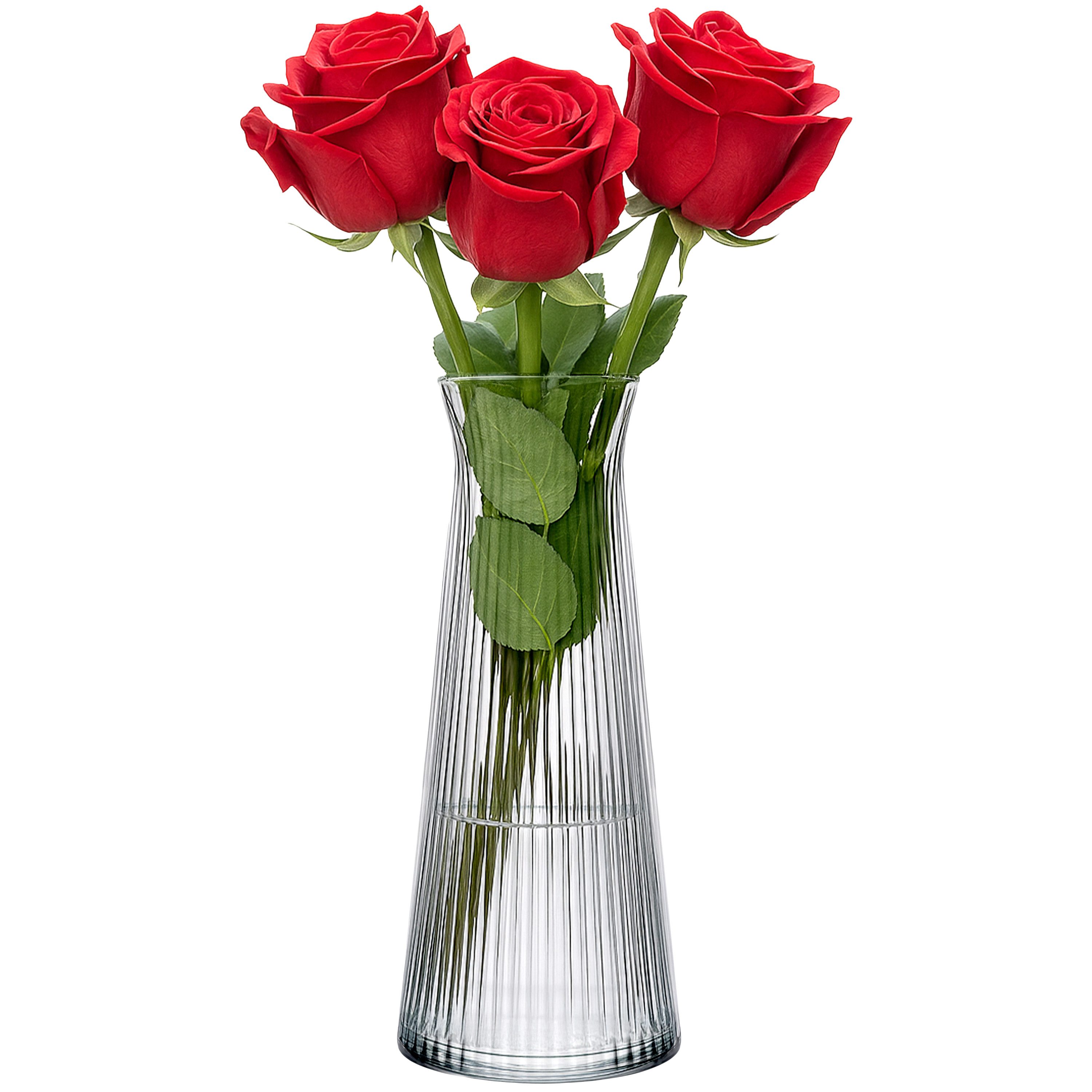 KONZEPT Tischvase Glasvasen 25cm Hoch, Glas Blumenvasen modern, Vasen rille günstig online kaufen