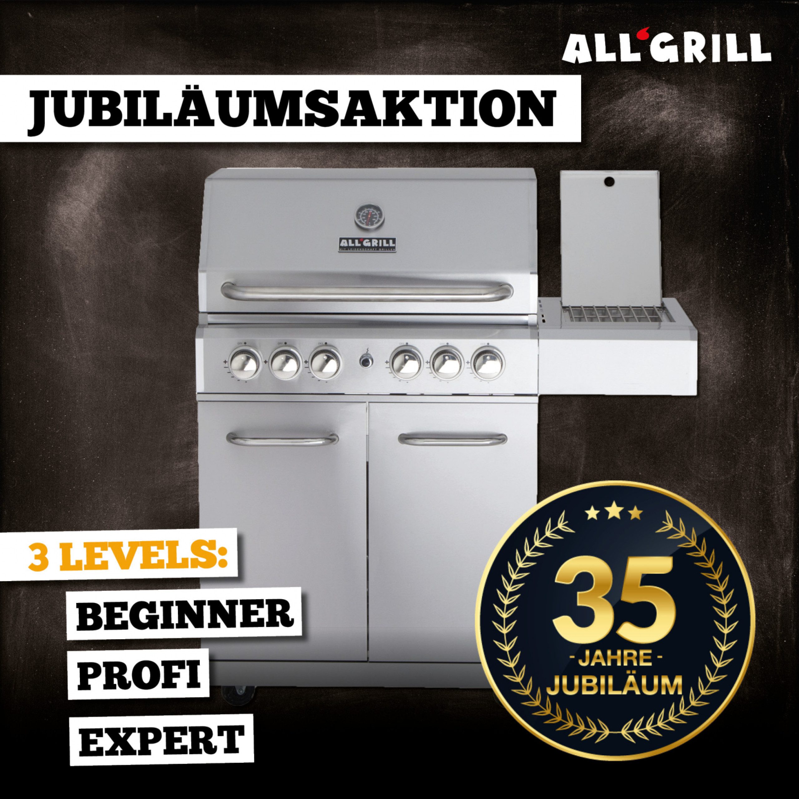 All Grill Gasgrill ALLGRILL Gasgrill ALLROUNDER L - 35 Jahre Aktion inkl. EXPERT