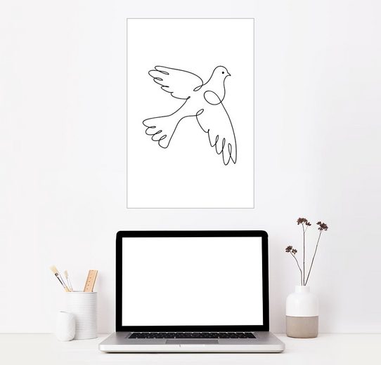 Posterlounge Wandbild, Friedenstaube, Premium-Druck auf Fotopapier