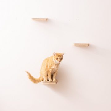 Navaris Katzen-Wandregal Katzen Kletterwand 3er Set - Katzenkletterregale wandmontiert