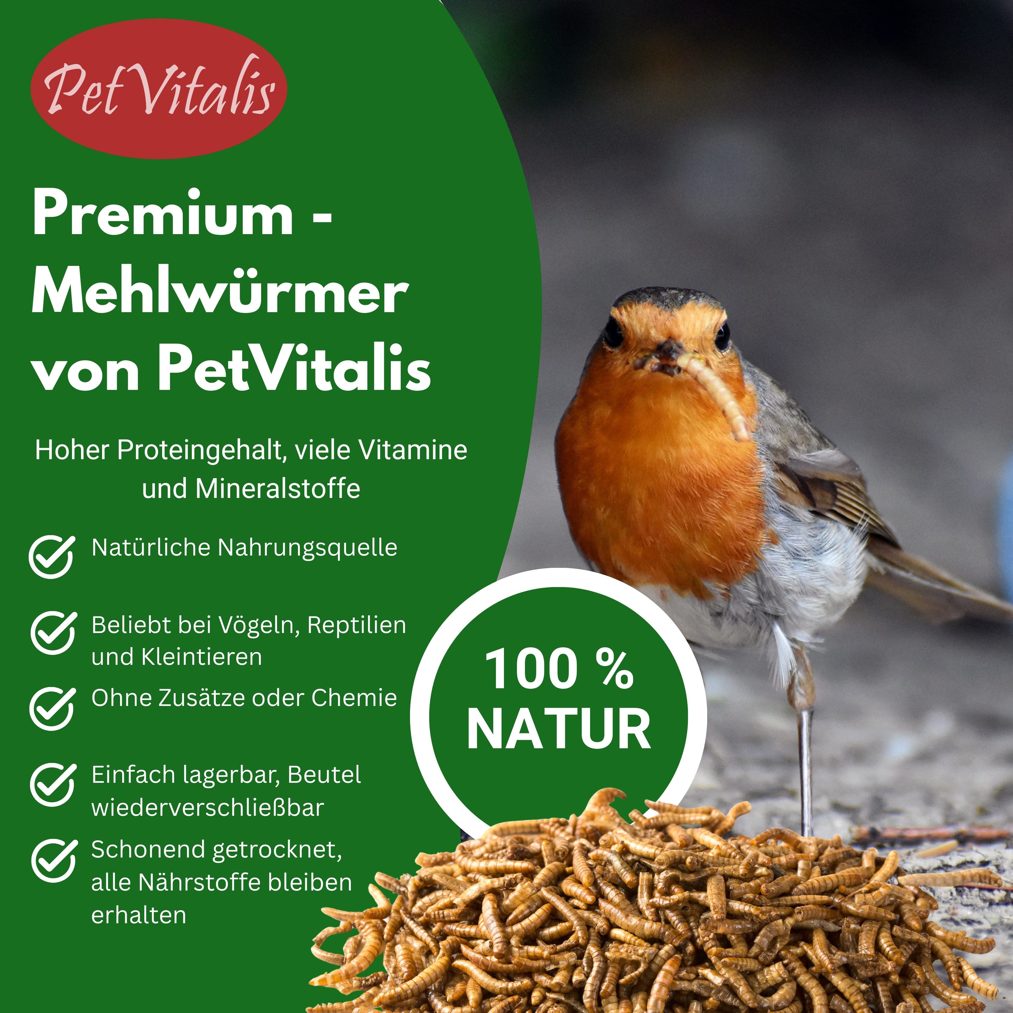PetVitalis Getrocknete Mehlwürmer – Einzelfuttermittel als Vogelfutter-Ergänzung, Ergänzungsfutter für: Meerschweinchen, Schildkröten, Wildvögel, Reptilien, Fische, Eichhörnchen, Igel, Nager