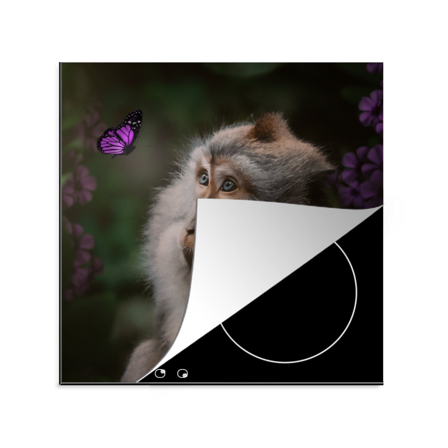 MuchoWow Herdblende-/Abdeckplatte Schmetterling - Tiere - Affe, Vinyl, (1 tlg), 78x78 cm, Ceranfeldabdeckung, Arbeitsplatte für küche