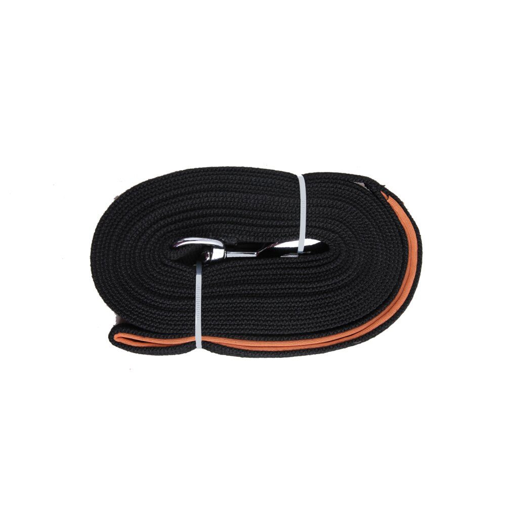 Pawise Hundeleine Flat Leash 5 meter, (Packung)