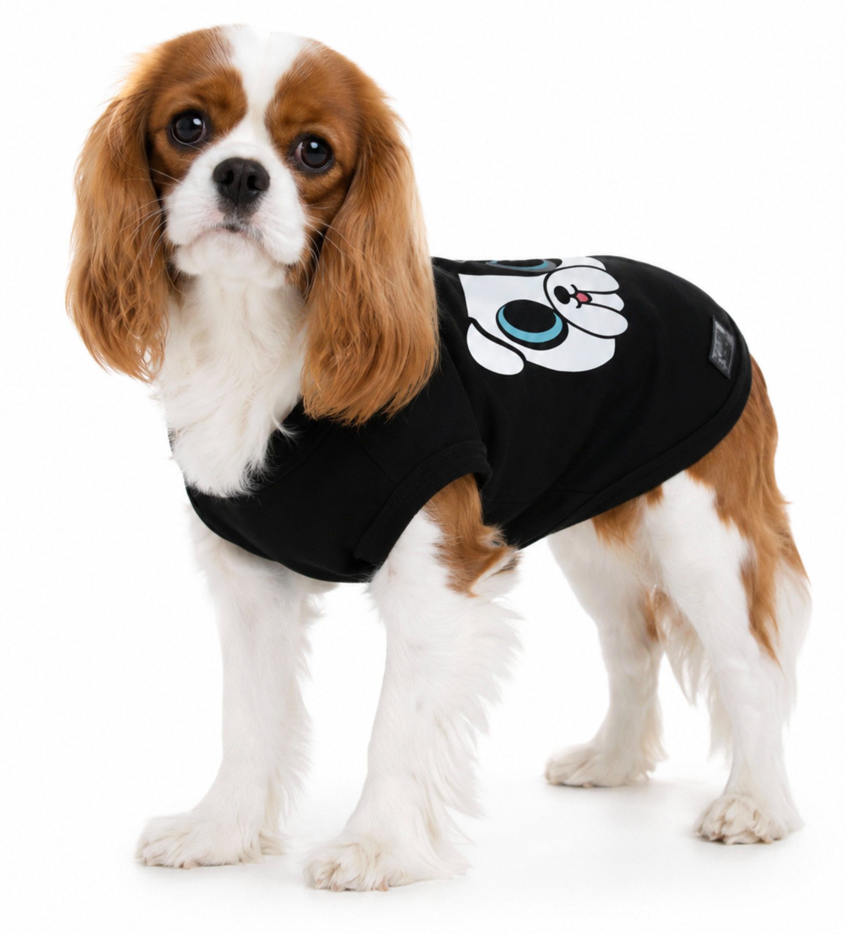 KARL LAGERFELD Hundeshirt Haustiere Katze Hund T-Shirt Shirt Hundekleidung, Exklusiv bei uns – Seltenes Sammlerstück