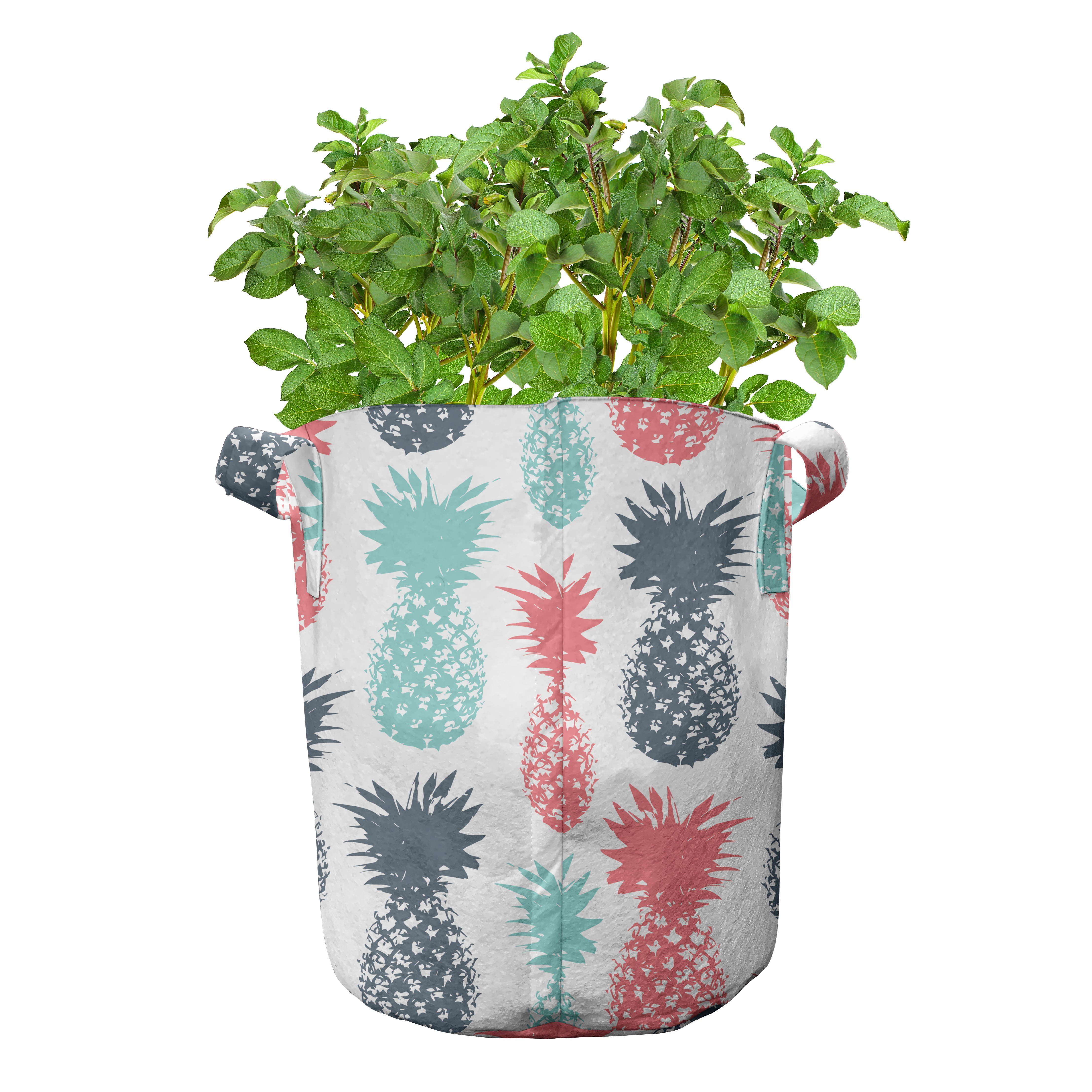 Pflanzkübel Pflanzen, hochleistungsfähig mit Stamped Griffen Abakuhaus für Kulisse Minimal Stofftöpfe Tropisch