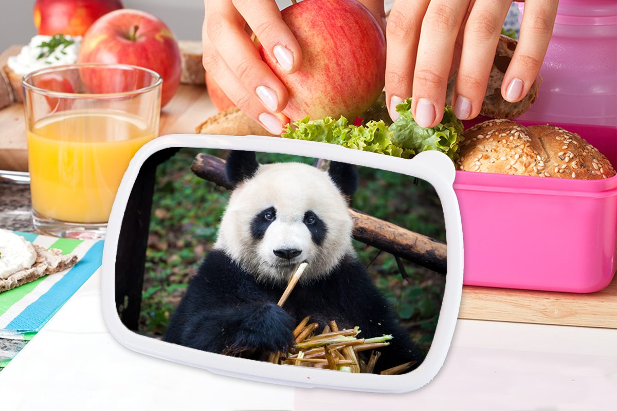 für rosa Natur, - Kunststoff, Mädchen, (2-tlg), Lunchbox Erwachsene, Brotdose Kunststoff Brotbox Panda Snackbox, Bambus Kinder, - MuchoWow
