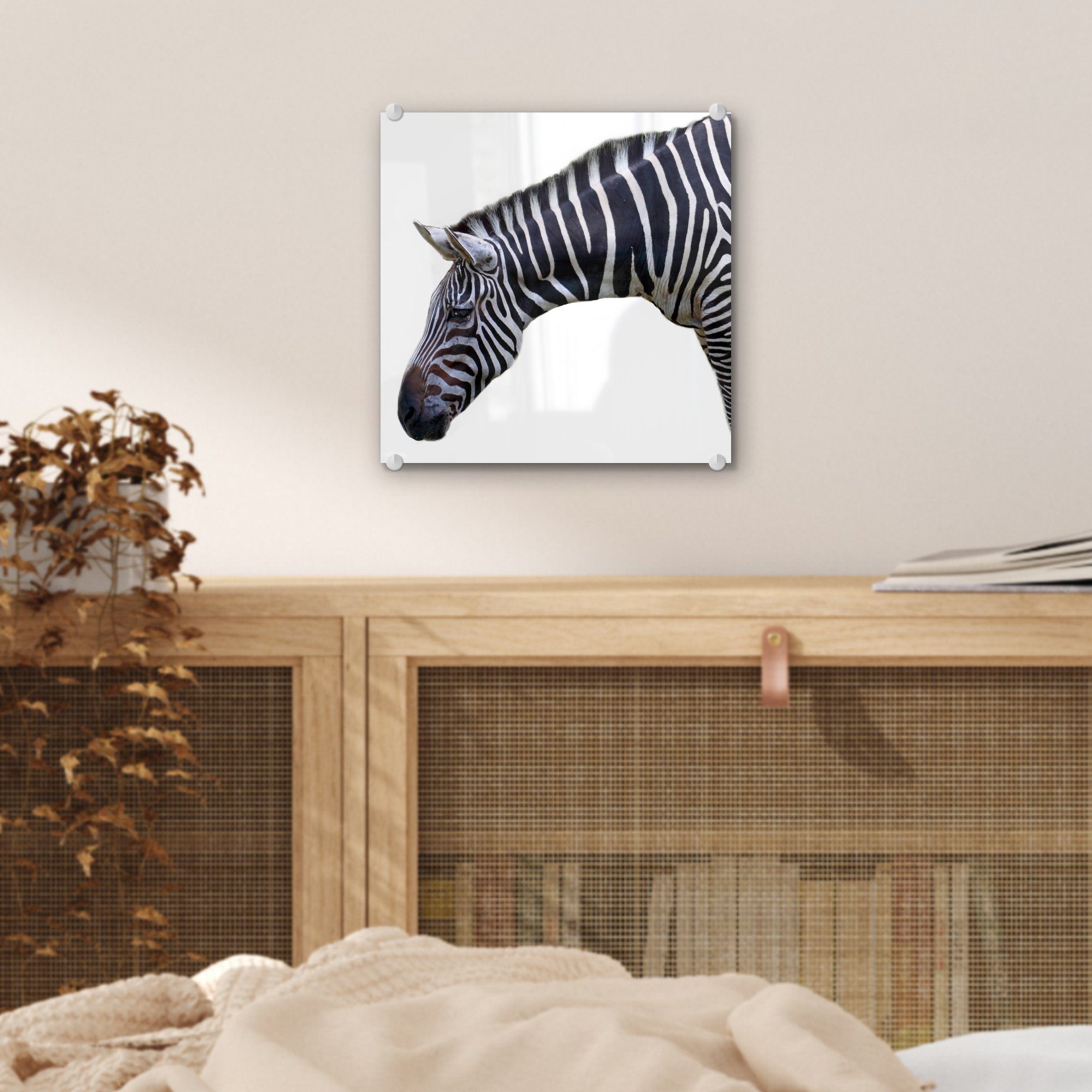 eines auf MuchoWow Wandbild und St), - (1 Acrylglasbild Bilder Foto Glas auf Hals Wanddekoration weißem Hintergrund, - Glasbilder Zebras Glas Kopf auf -