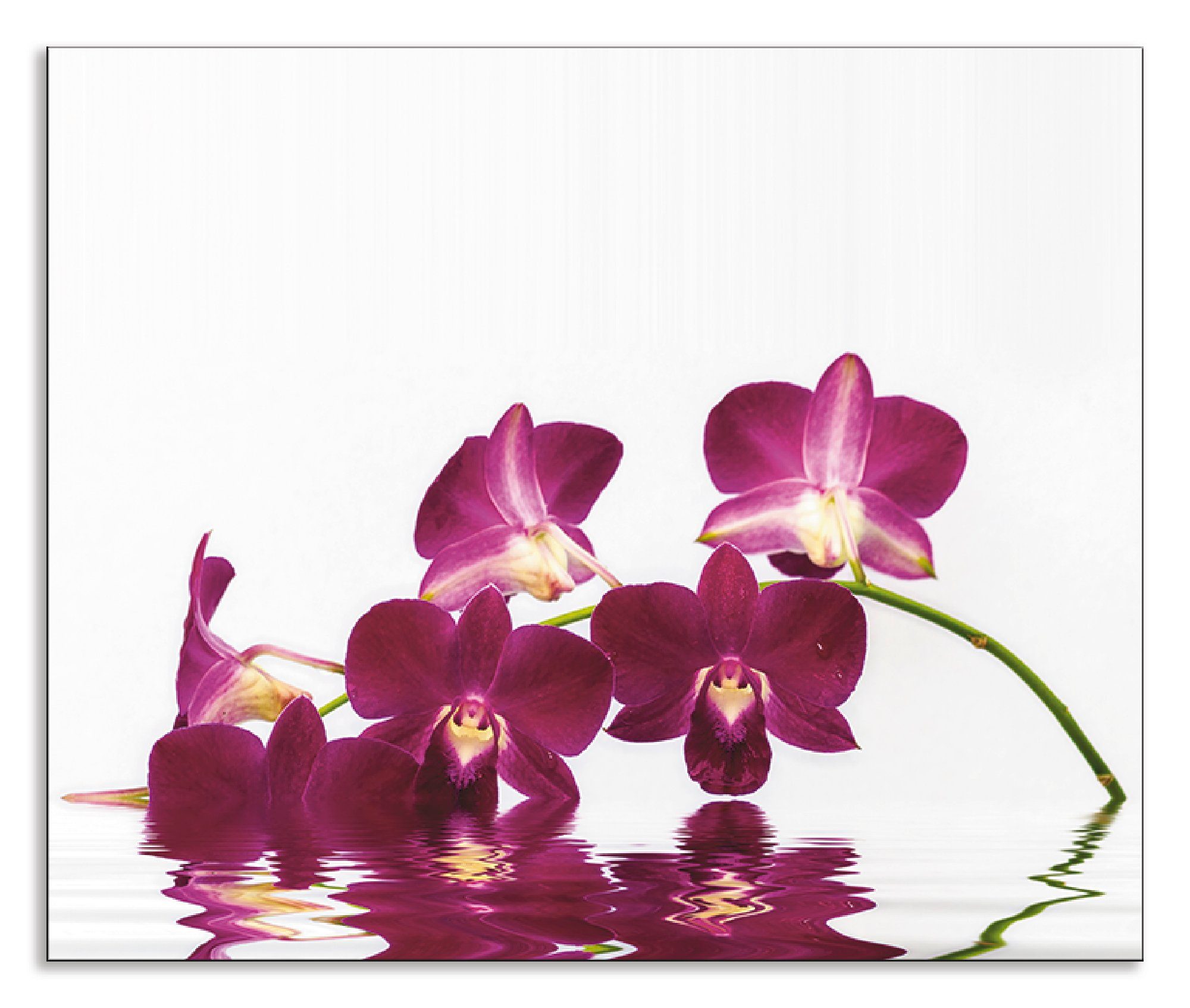 Artland Küchenrückwand Phalaenopsis Orchidee, (1-tlg), Alu Spritzschutz mit Klebeband, einfache Montage | Küchenrückwände