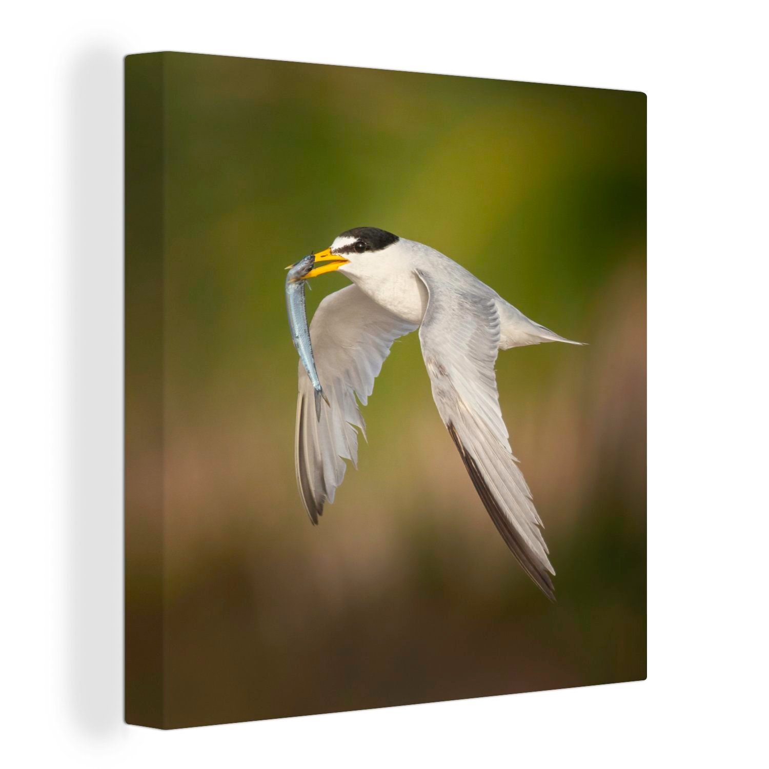 OneMillionCanvasses® Leinwandbild Bilder für Vogel Himmel, (1 - Schlafzimmer Leinwand - Wohnzimmer Fisch St)