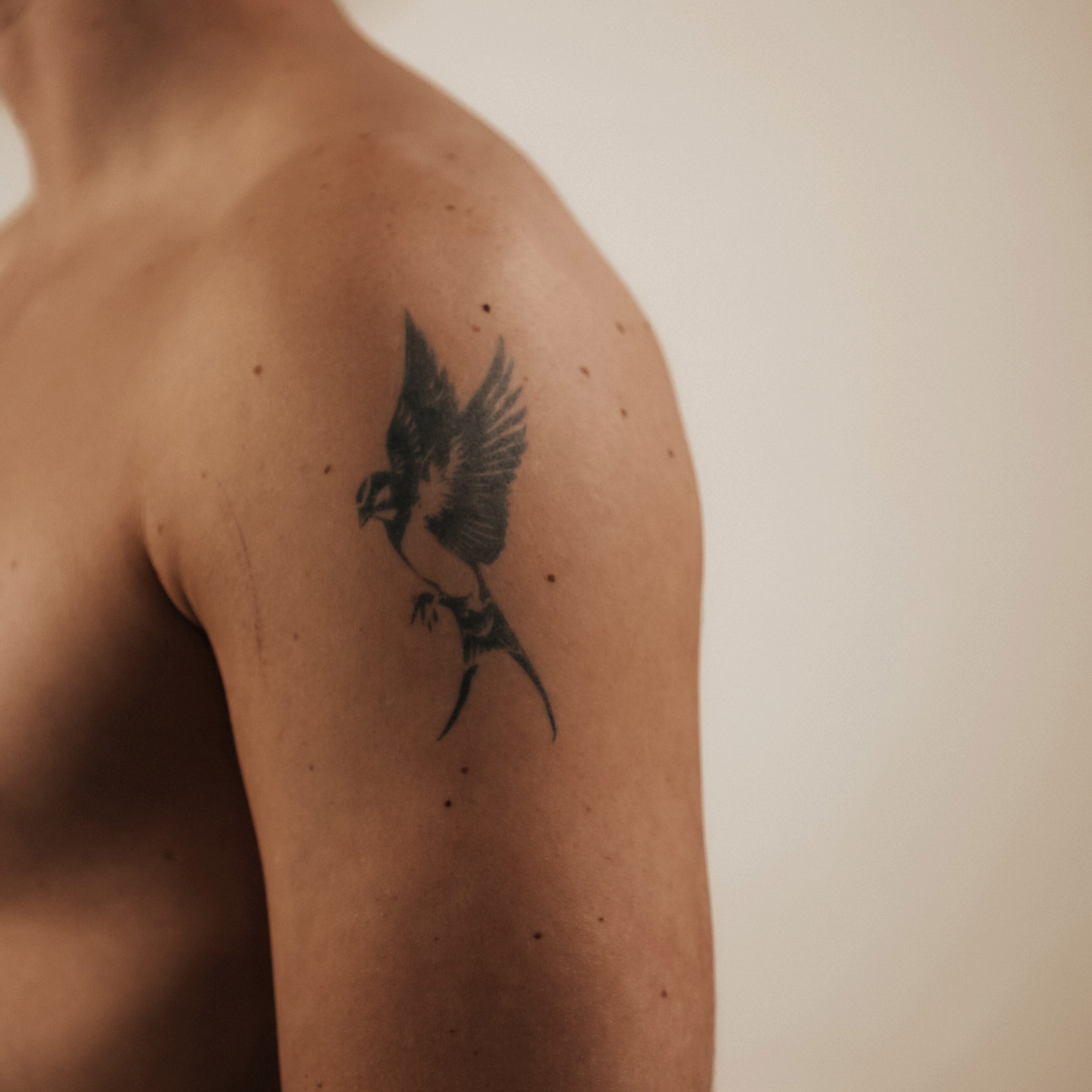 Inkster Schmuck-Tattoo Dunkle Schwalbe Tattoo, wasserfestes temporäres Tattoo, 2 Wochen Halt