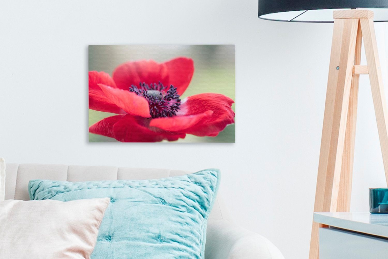 OneMillionCanvasses® Leinwandbild Rote Anemone, (1 Leinwandbilder, Wandbild Aufhängefertig, cm Wanddeko, St), 30x20