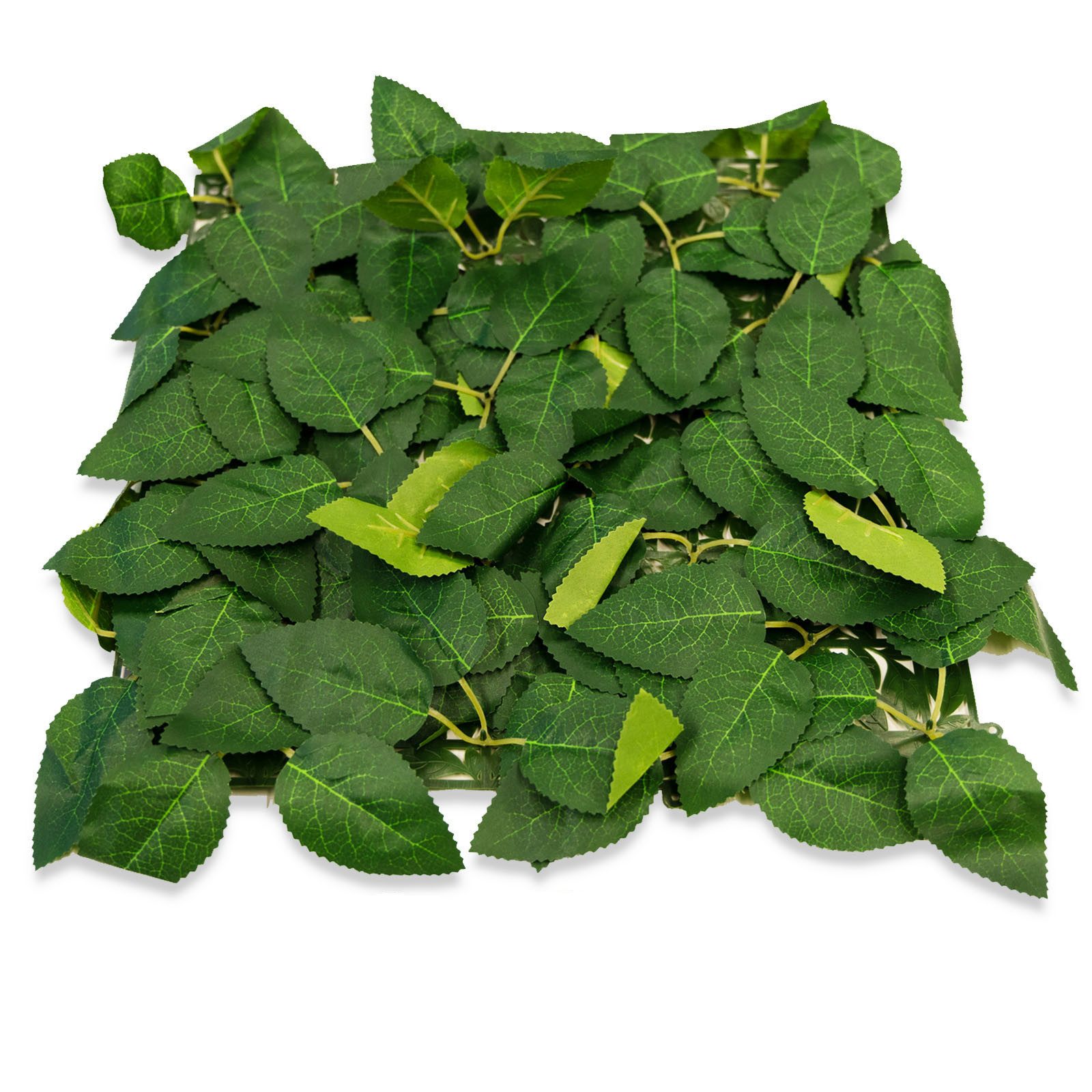 Kunstpflanze Pflanzenwand Roseleaf, Elegante Wandgestaltung, Kubus, Einfach mit anderen Modulen der gleichen Größe kombinierbar