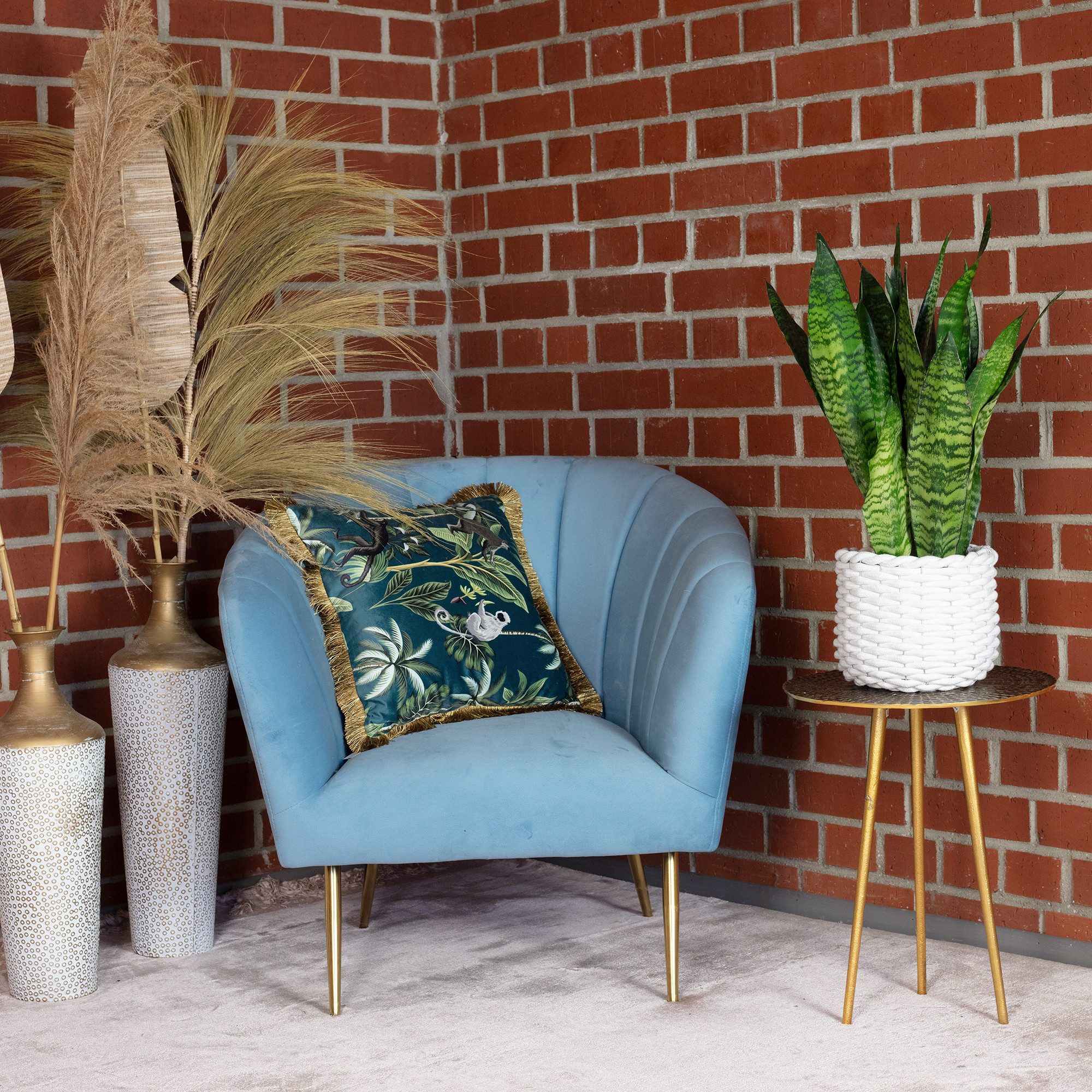 Flowerbox Zimmerpflanze Bogenhanf - Sansevieria zeylanica, pflegeleicht - Höhe ca. 65 cm, Topf-Ø 17 cm