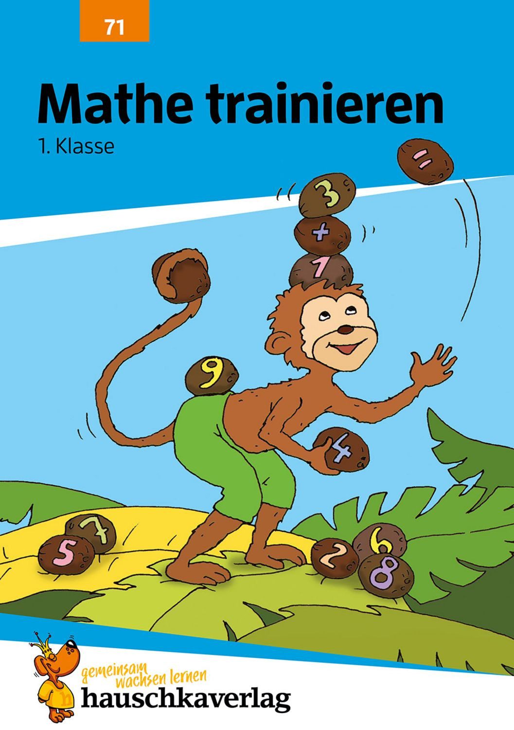 Übungsheft 1. Klasse - Mathe trainieren / Helena Heiss