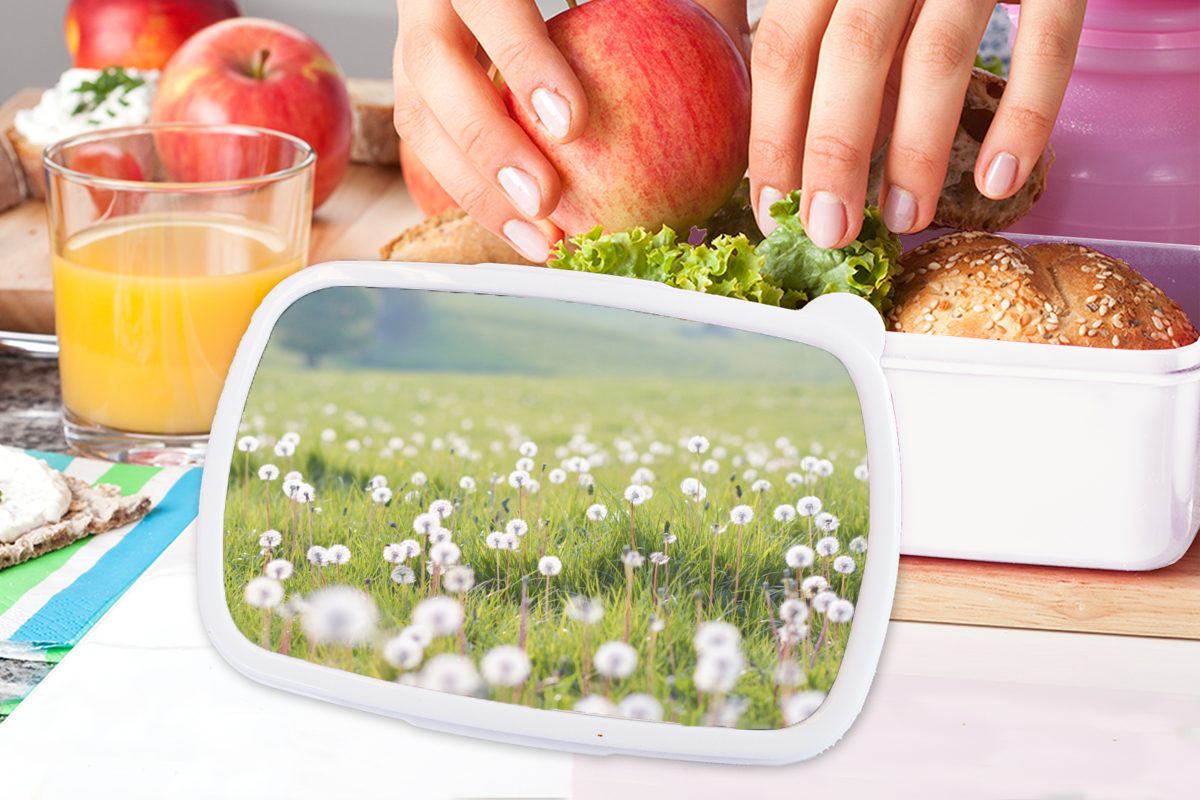 Frühling Jungs Brotdose, Kunststoff, Löwenzahn Brotbox Erwachsene, MuchoWow Kinder Farben, (2-tlg), weiß Mädchen und - für und Lunchbox - für