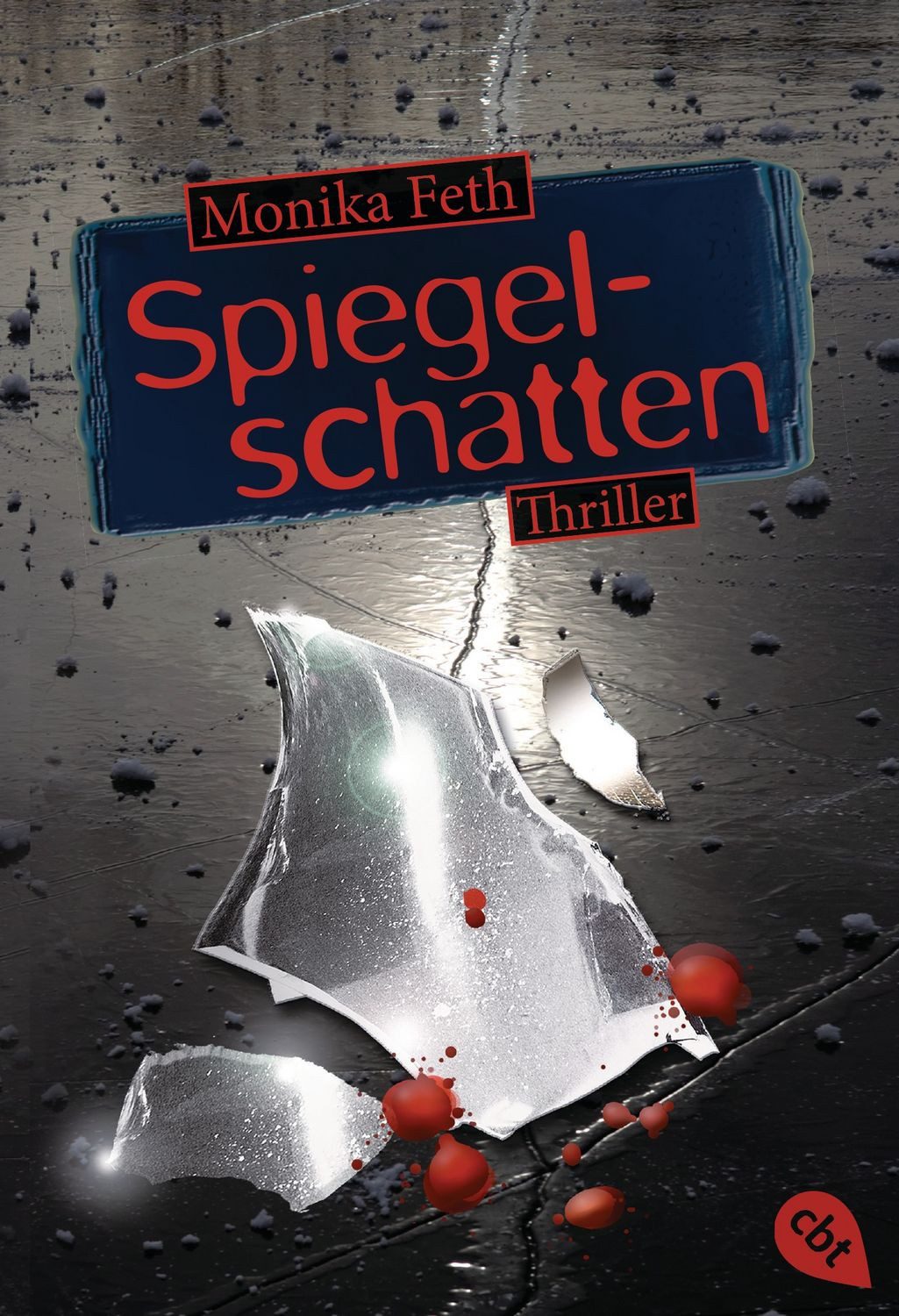 Spiegelschatten / Romy-Thriller Band 2 / Monika Feth