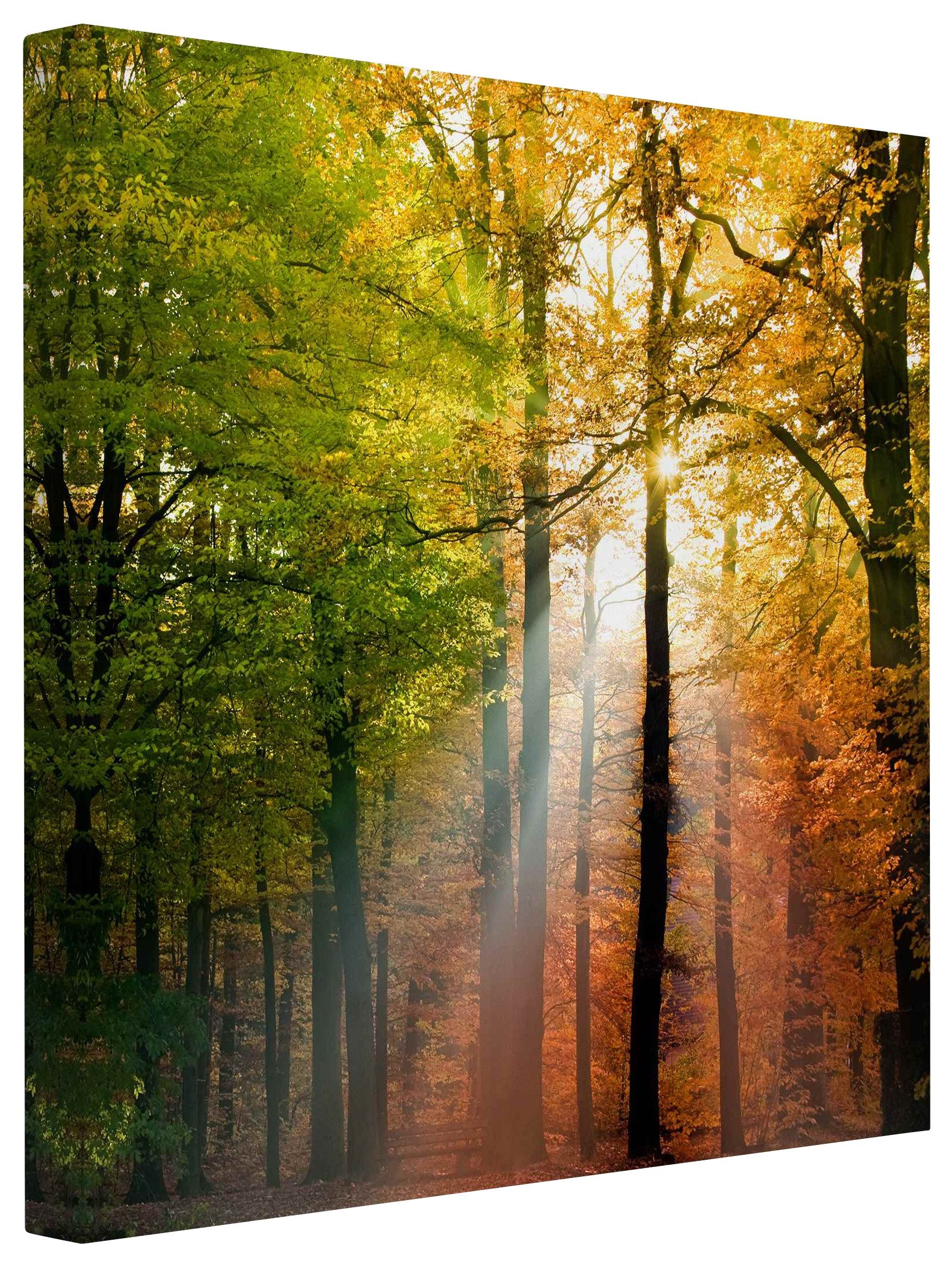 Bilderdepot24 Leinwandbild Wald Natur Modern Morning Light orange Bild auf Leinwand Groß XXL, Wohnzimmer Schlafzimmer Küche Flur Wandbild Kunstdruck Wanddeko Druck
