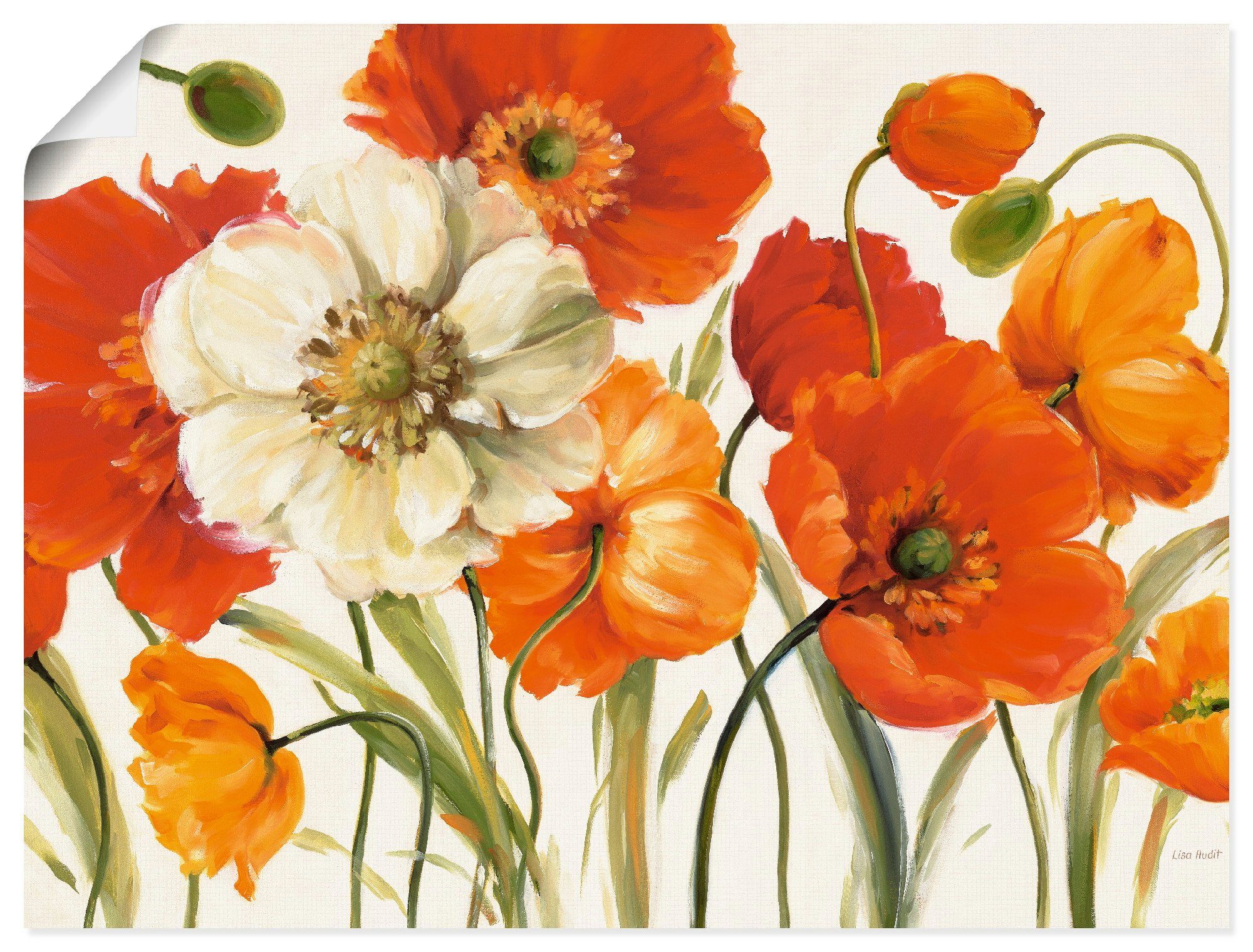 Artland Wandbild Mohnblumen I, Blumen (1 St), als Leinwandbild, Poster in verschied. Größen