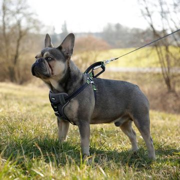 Kerbl Hunde-Halsband Auto-Sicherheitsgeschirr 44-55 cm Schwarz, Nylon