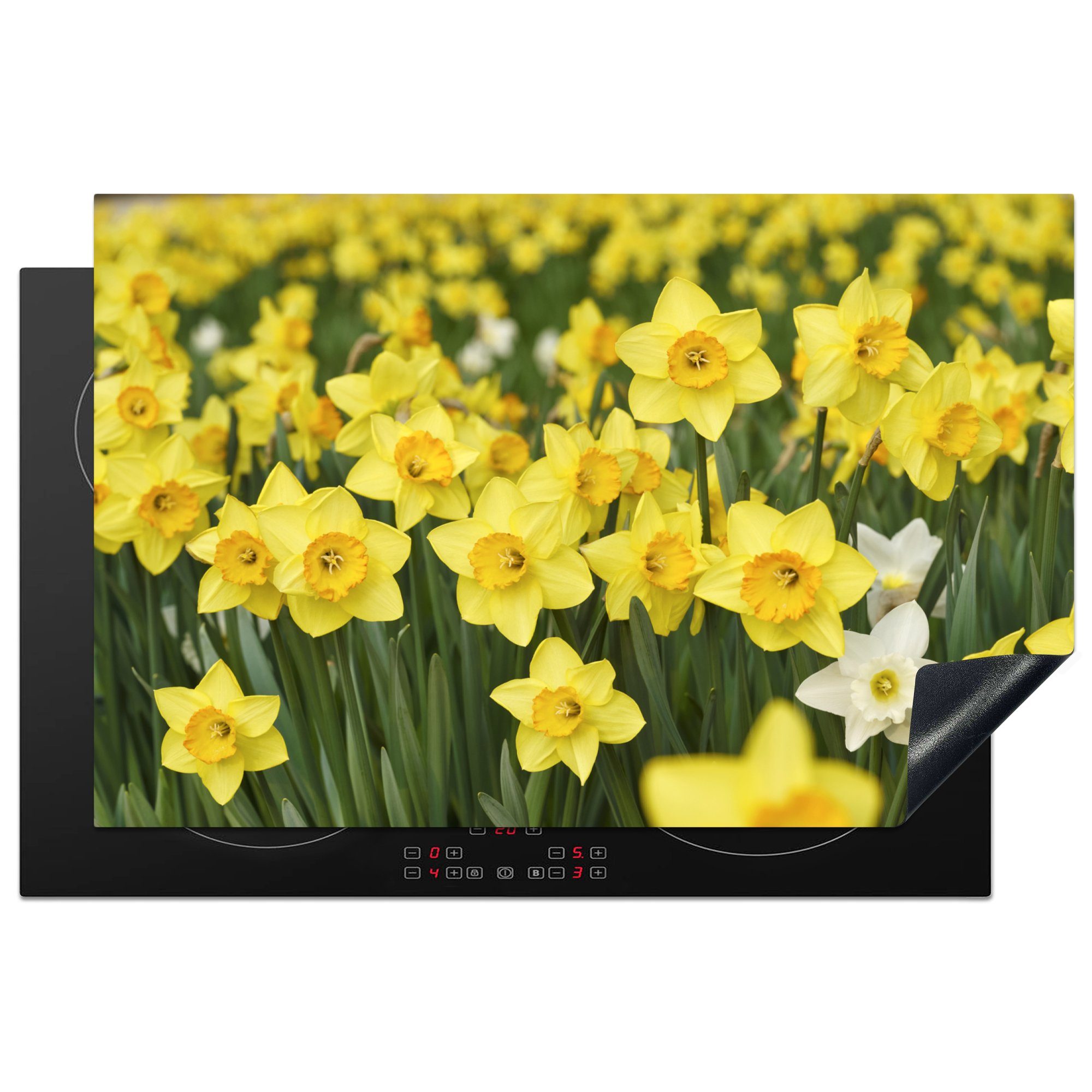Gelb Blumen Schutz für die cm, Ceranfeldabdeckung Herdblende-/Abdeckplatte tlg), Narzissen, Vinyl, - küche, (1 MuchoWow Induktionskochfeld 81x52 -