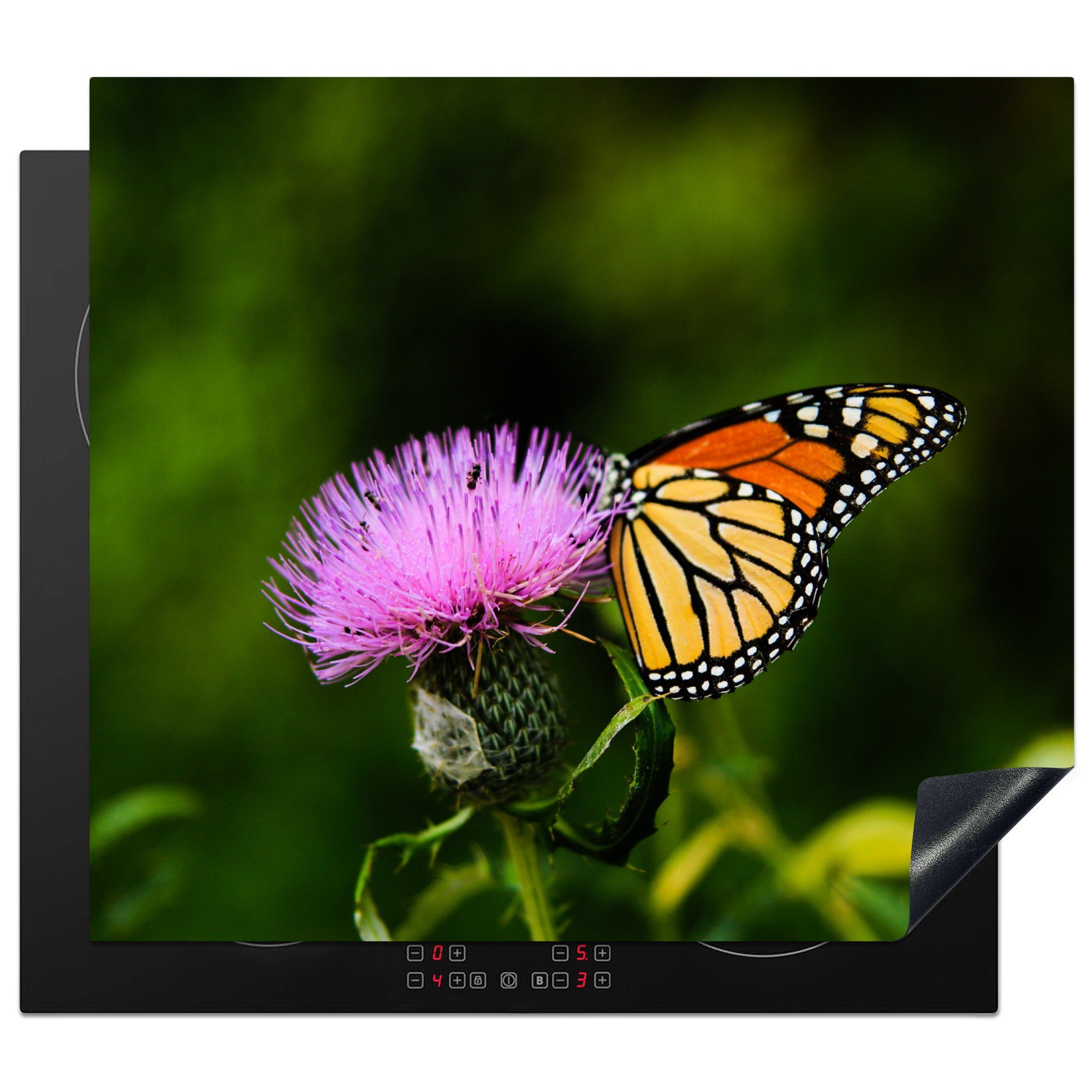 MuchoWow Herdblende-/Abdeckplatte Blumen - Schmetterling - Makro, Vinyl, (1 tlg), 60x52 cm, Mobile Arbeitsfläche nutzbar, Ceranfeldabdeckung