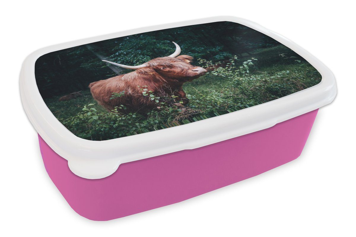 MuchoWow Lunchbox Schottischer Highlander - Blätter - Wald, Kunststoff, (2-tlg), Brotbox für Erwachsene, Brotdose Kinder, Snackbox, Mädchen, Kunststoff rosa