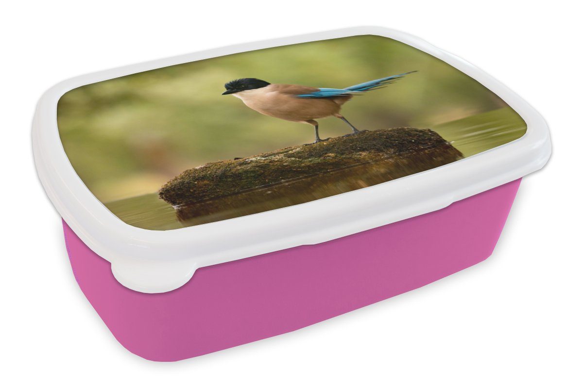 MuchoWow Lunchbox Elster - Vogel - Moos, Kunststoff, (2-tlg), Brotbox für Erwachsene, Brotdose Kinder, Snackbox, Mädchen, Kunststoff rosa