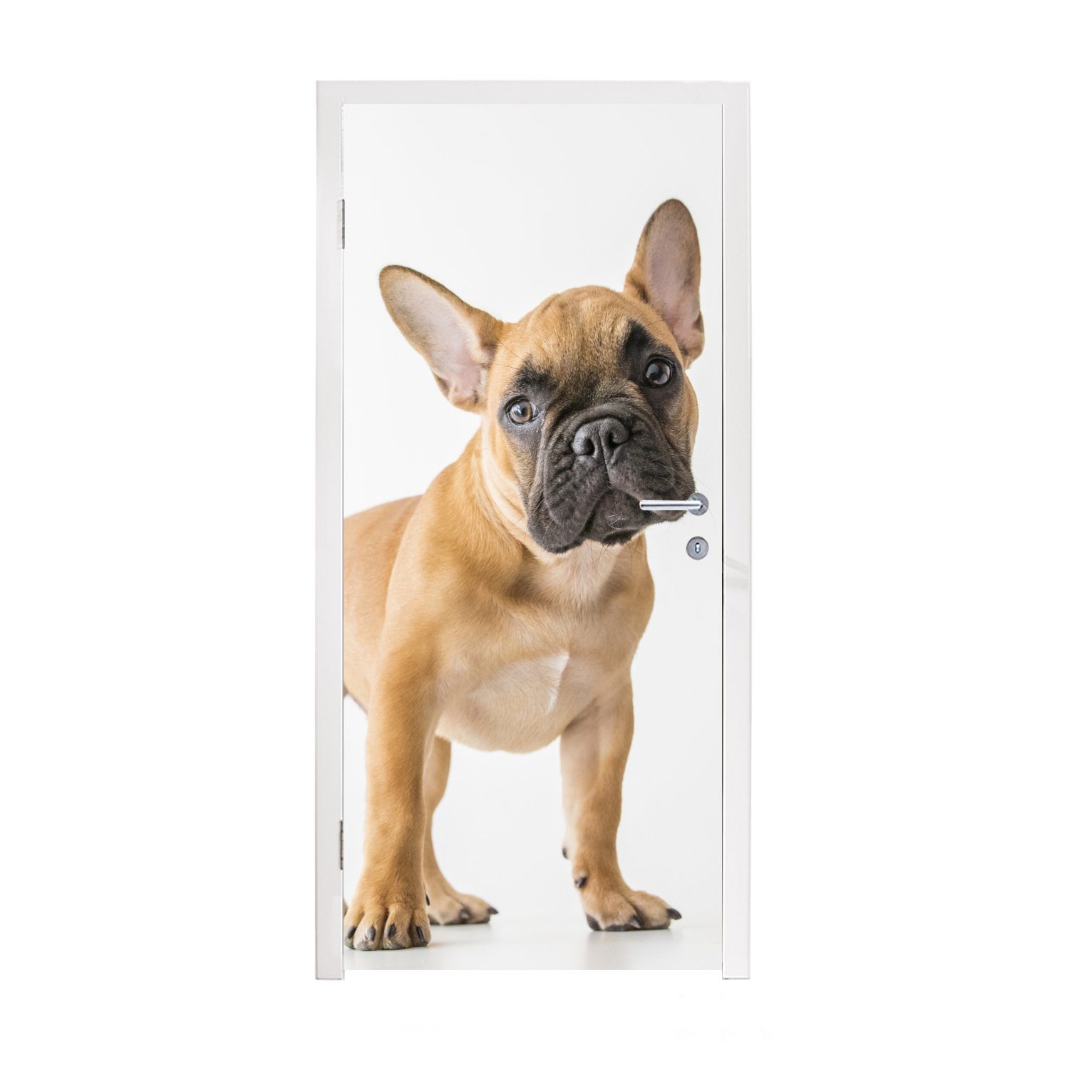 MuchoWow Türtapete Französische Bulldogge - Braun - Weiß, Matt, bedruckt, (1 St), Fototapete für Tür, Türaufkleber, 75x205 cm