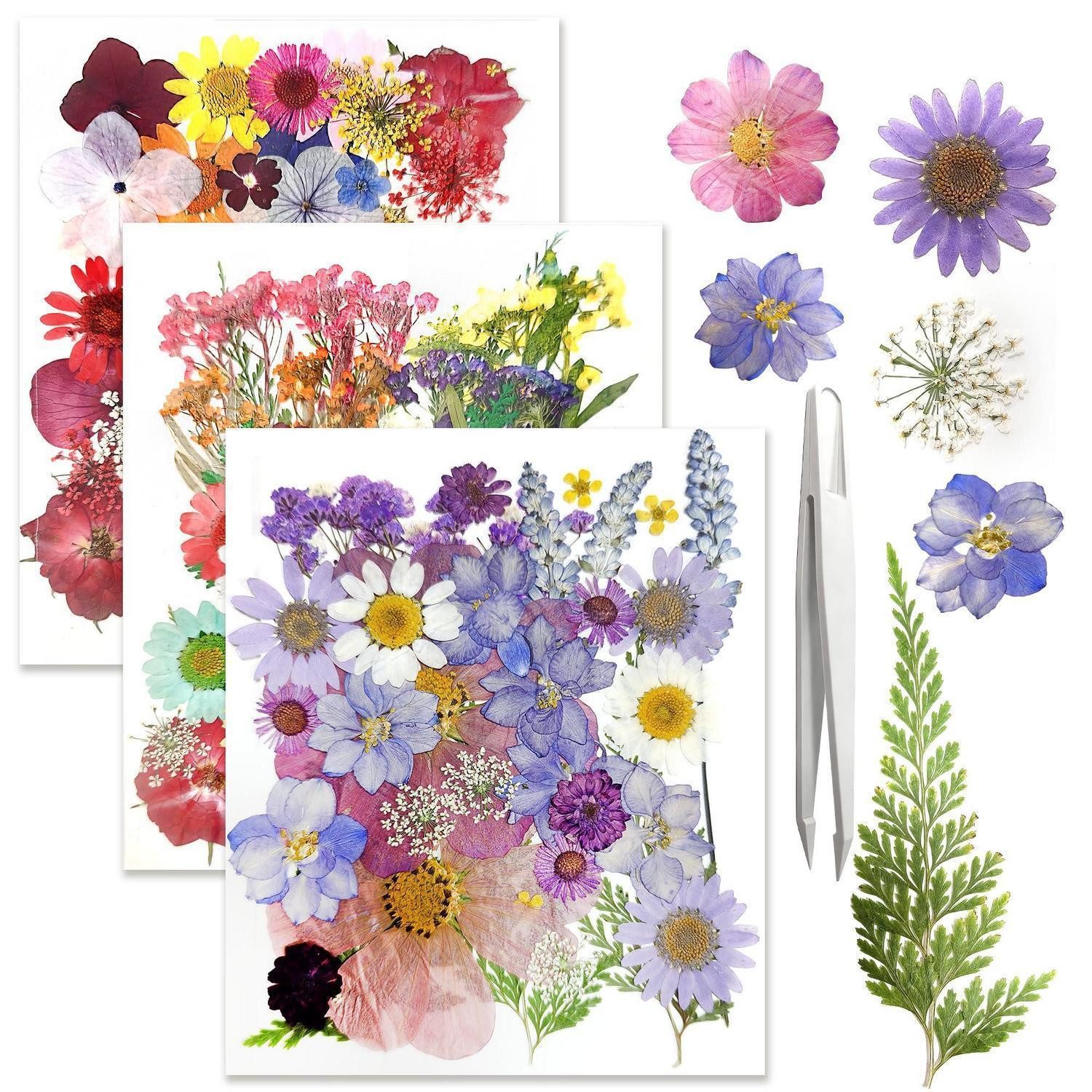 Trockenblume Trockenblumen Bastelset 115tlg. DIY Deko Flora, LuxusKollektion, Höhe 0.5 cm