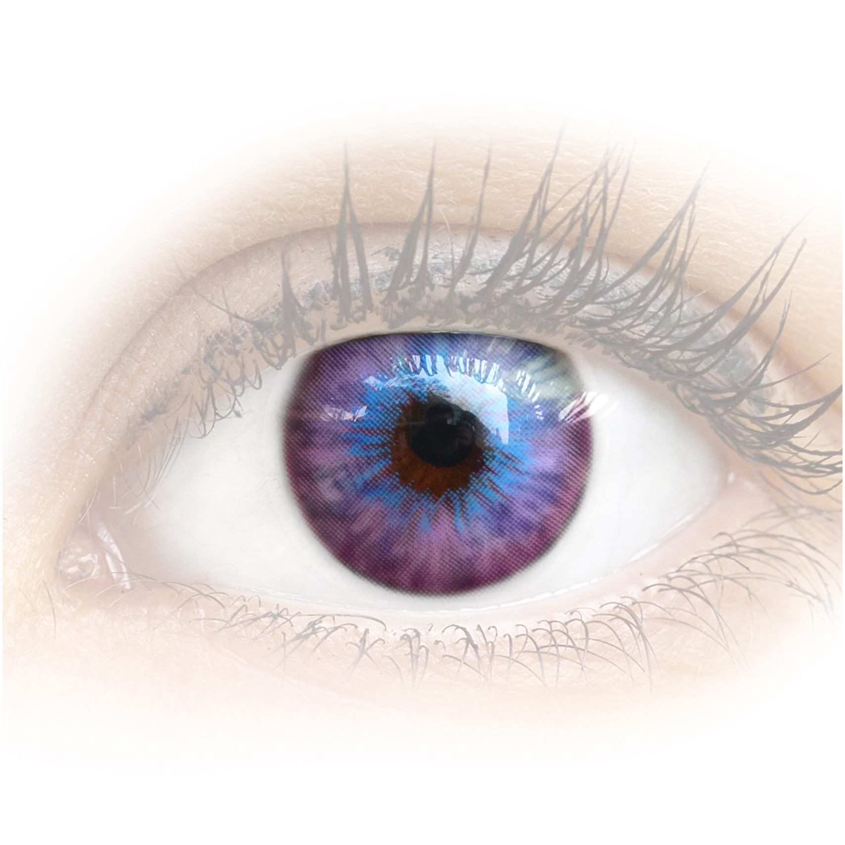 GLAMLENS Monatslinsen Sehr stark deckende und natürliche lila Linsen "Madrid Violet"