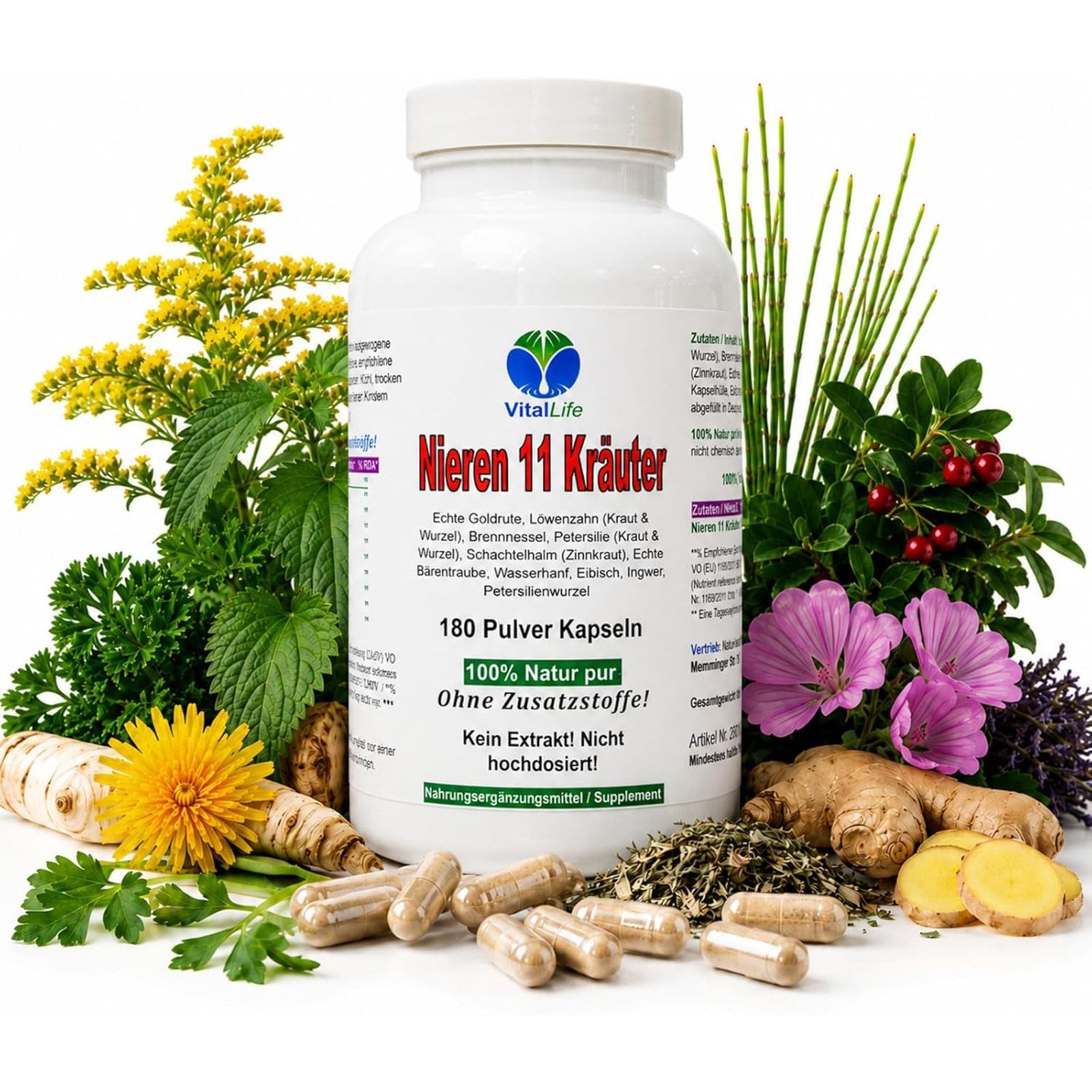 VitalLife Nieren 11 Kräuter Goldrute Eibisch Bärentraube uvm - Ohne Zusatzsoffe Kapseln, 1 er Dose à 180 St., 85 g, Art. 26310