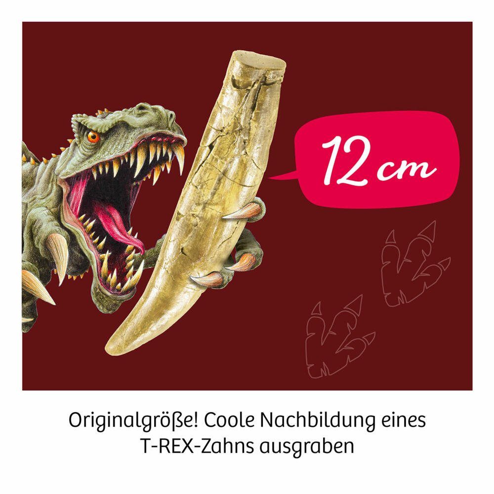 Kosmos Kreativset T-Rex Zahn