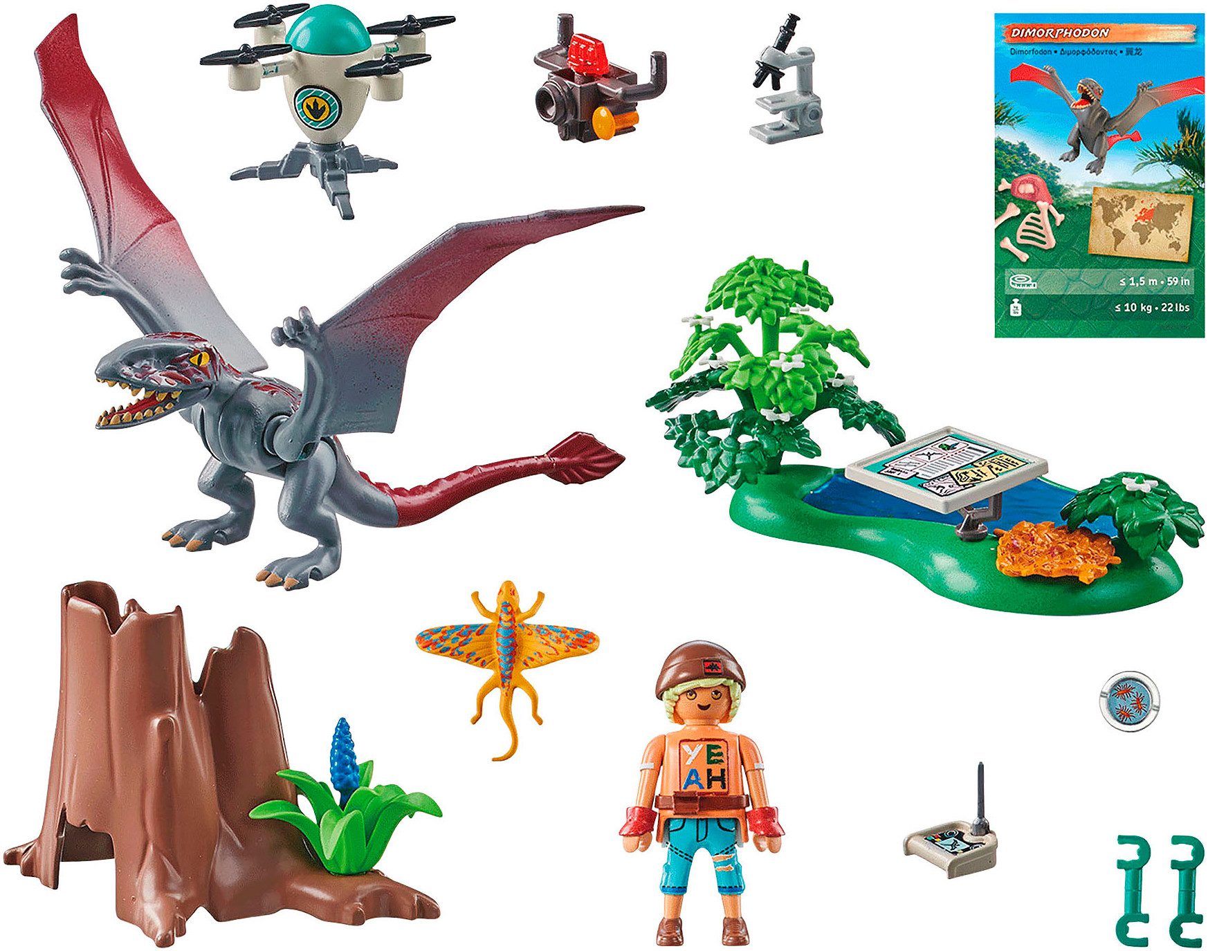Playmobil® Beobachtungsstation für Dimorphodon (71525), Dinos Konstruktions günstig online kaufen
