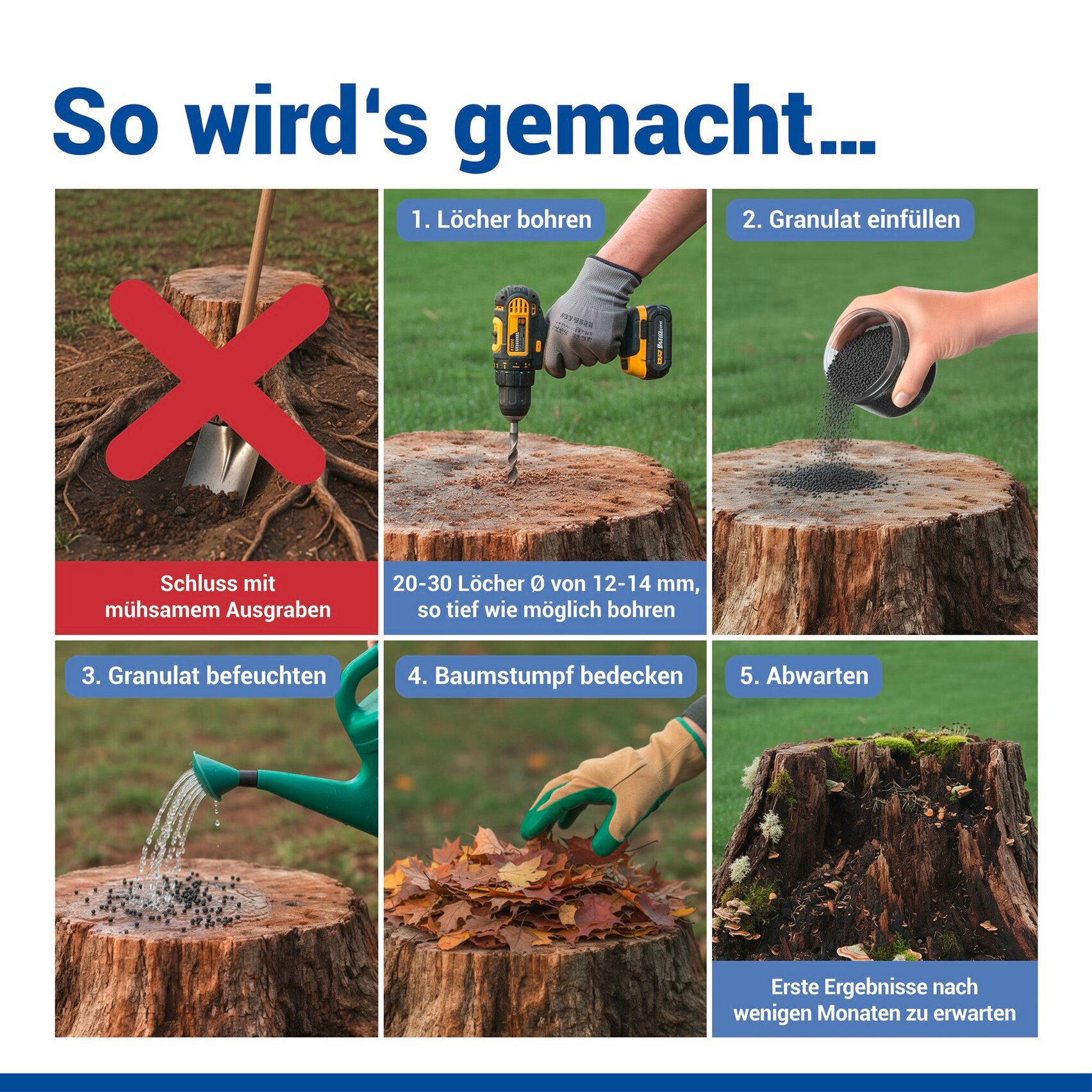 MY WAY Wurzelentferner-Mittel Wurzel-weg, beschleunigt den Zersetzungsprozess des Holzes, 3000 g, verschiedene Gebindegrößen – Bild 4 von 5