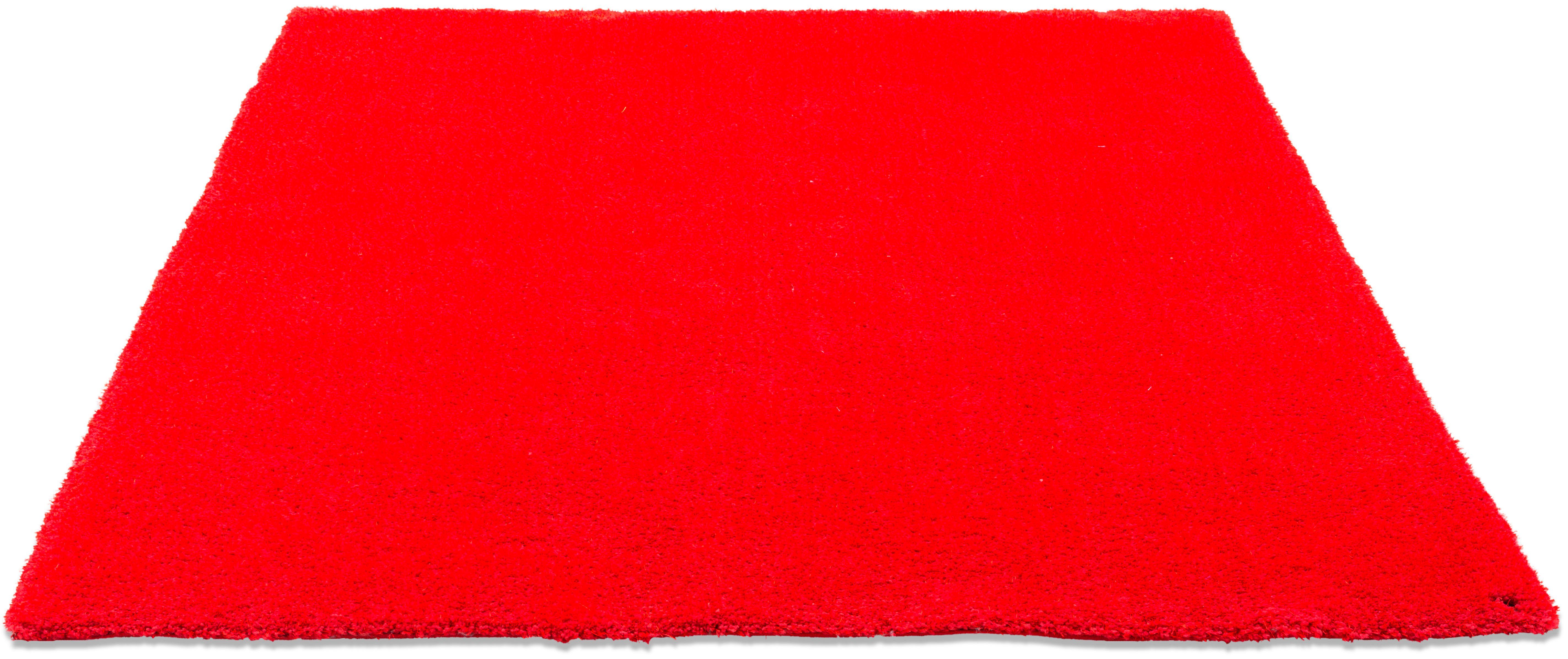 TOM TAILOR HOME Hochflor-Teppich Soft, rechteckig, günstig online kaufen