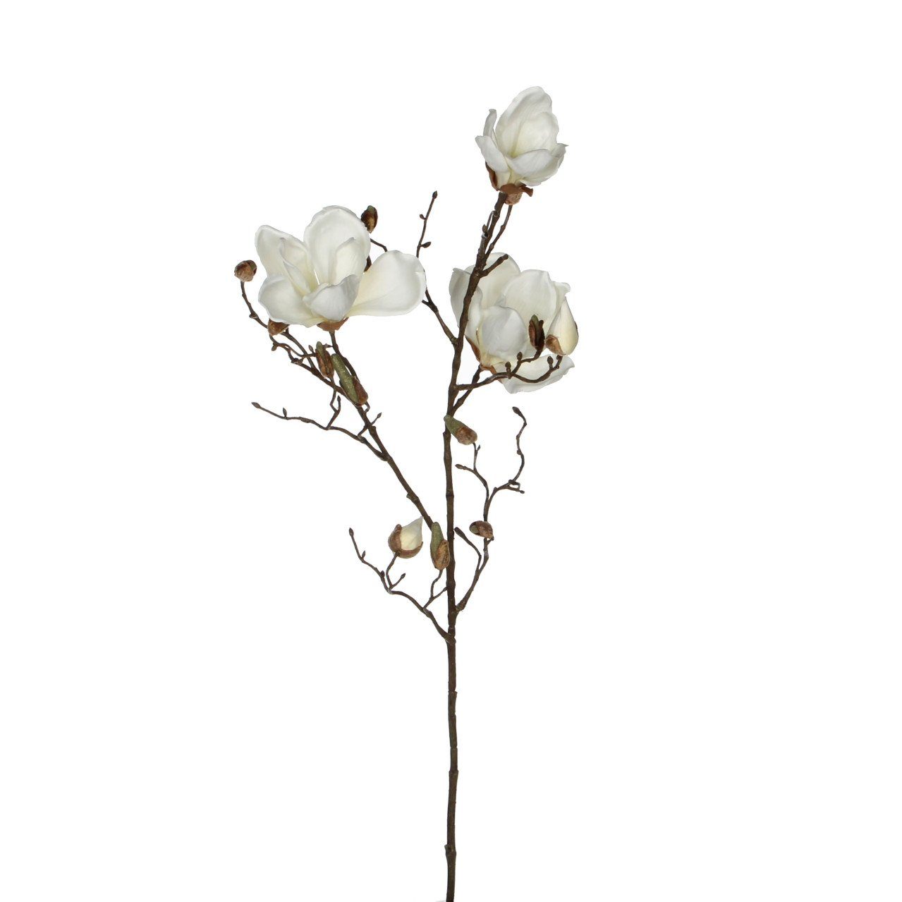 Kunstpflanze Mica künstliche Magnolia weiß, 88 cm, Mica Decorations günstig online kaufen