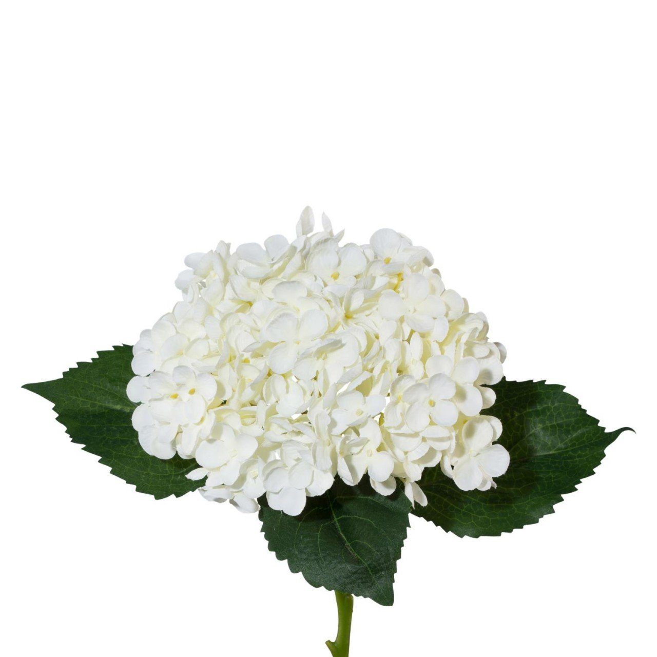 Kunstpflanze, Gasper, Höhe 53 Weiß cm, Kunststoff H:53cm