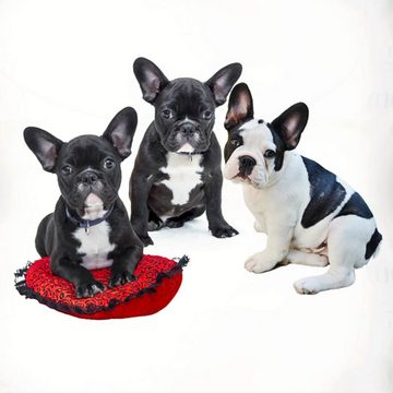Kinderbettwäsche French Dogs, ESPiCO, Renforcé, 2 teilig, Hunde, Welpen, Französische Bulldoggen