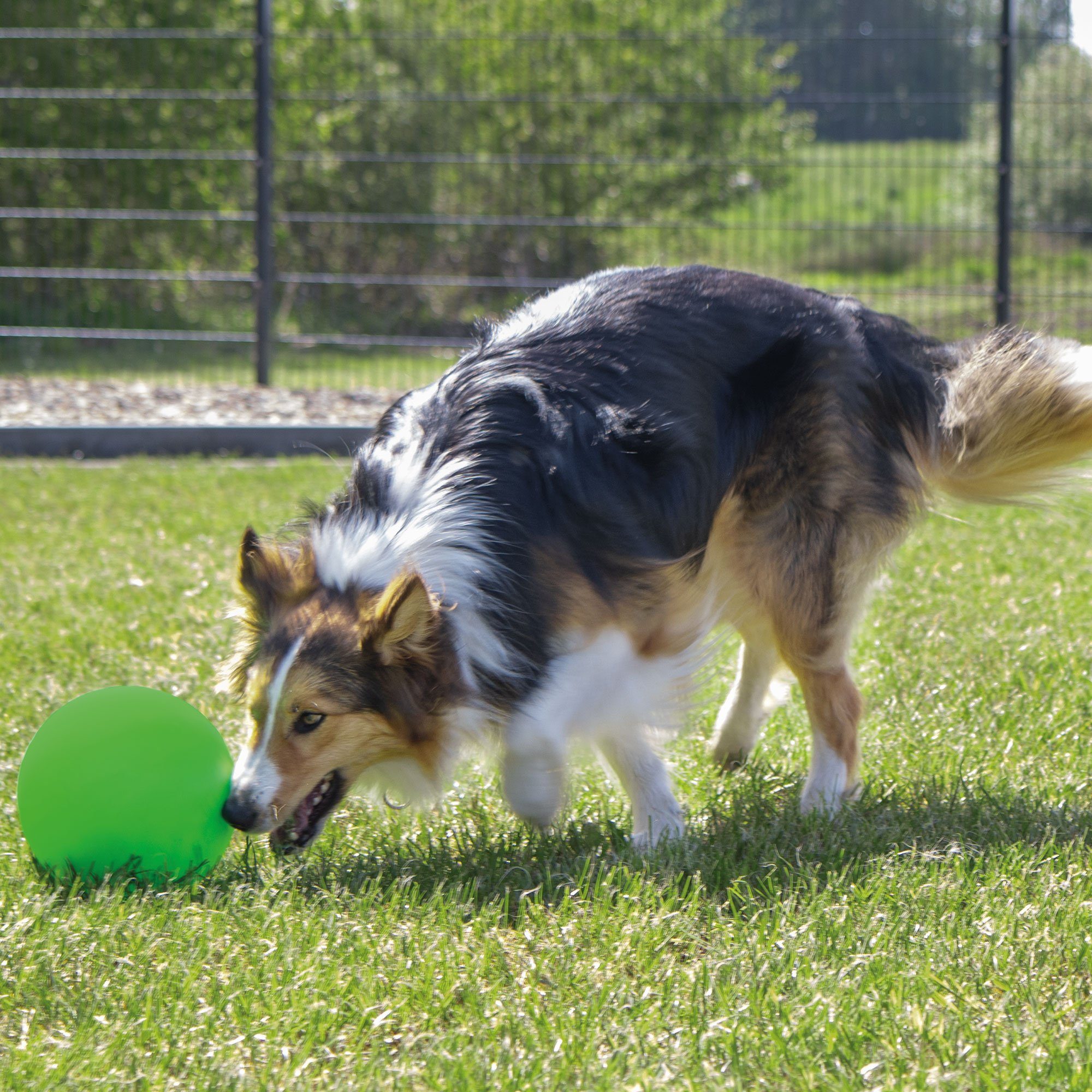Karlie Tierball Treibball für Hunde, blau (1-tlg) stabil Kunststoff
