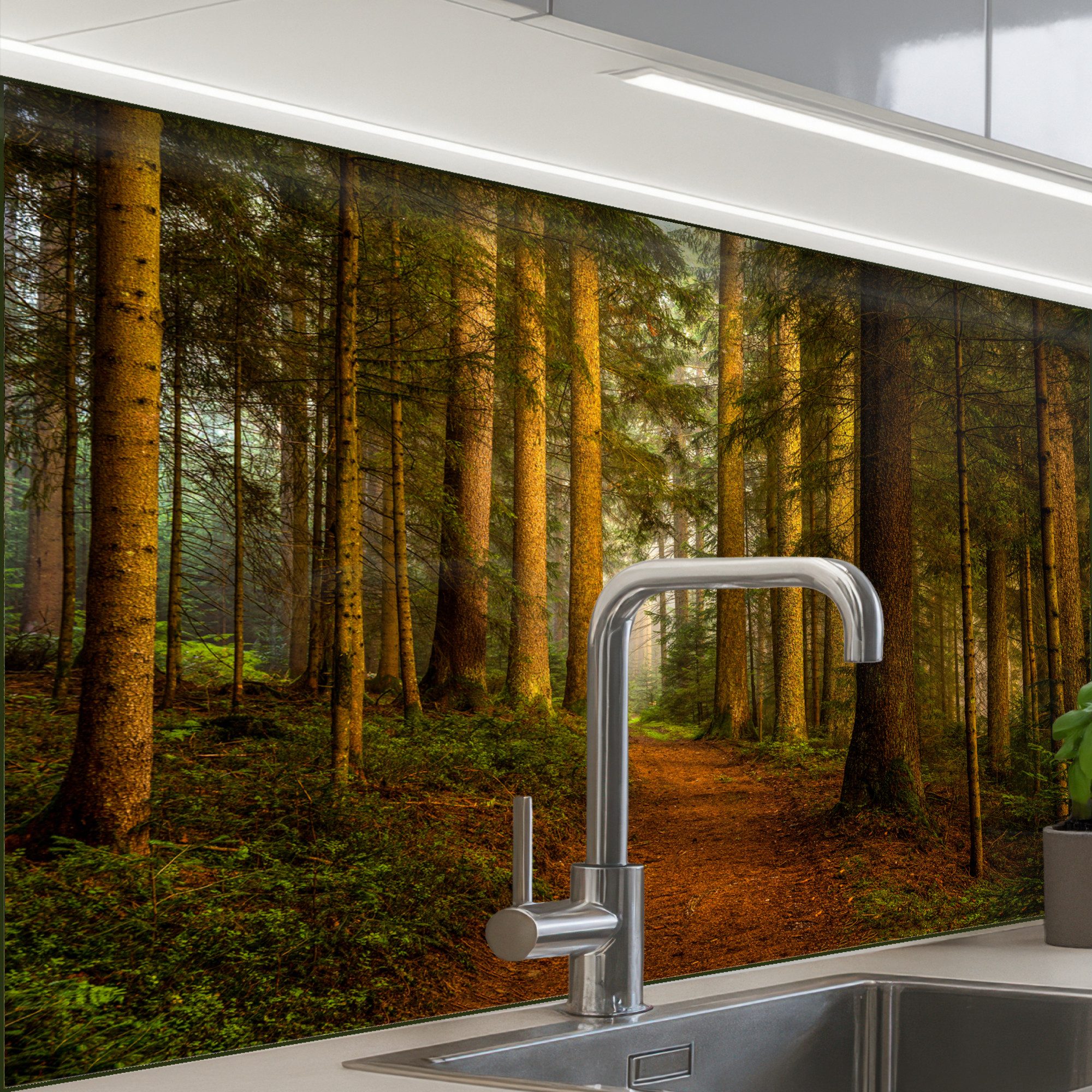 KitchenYeah Küchenrückwand selbstklebend Wald - Natur - Bäume - Landschaft günstig online kaufen