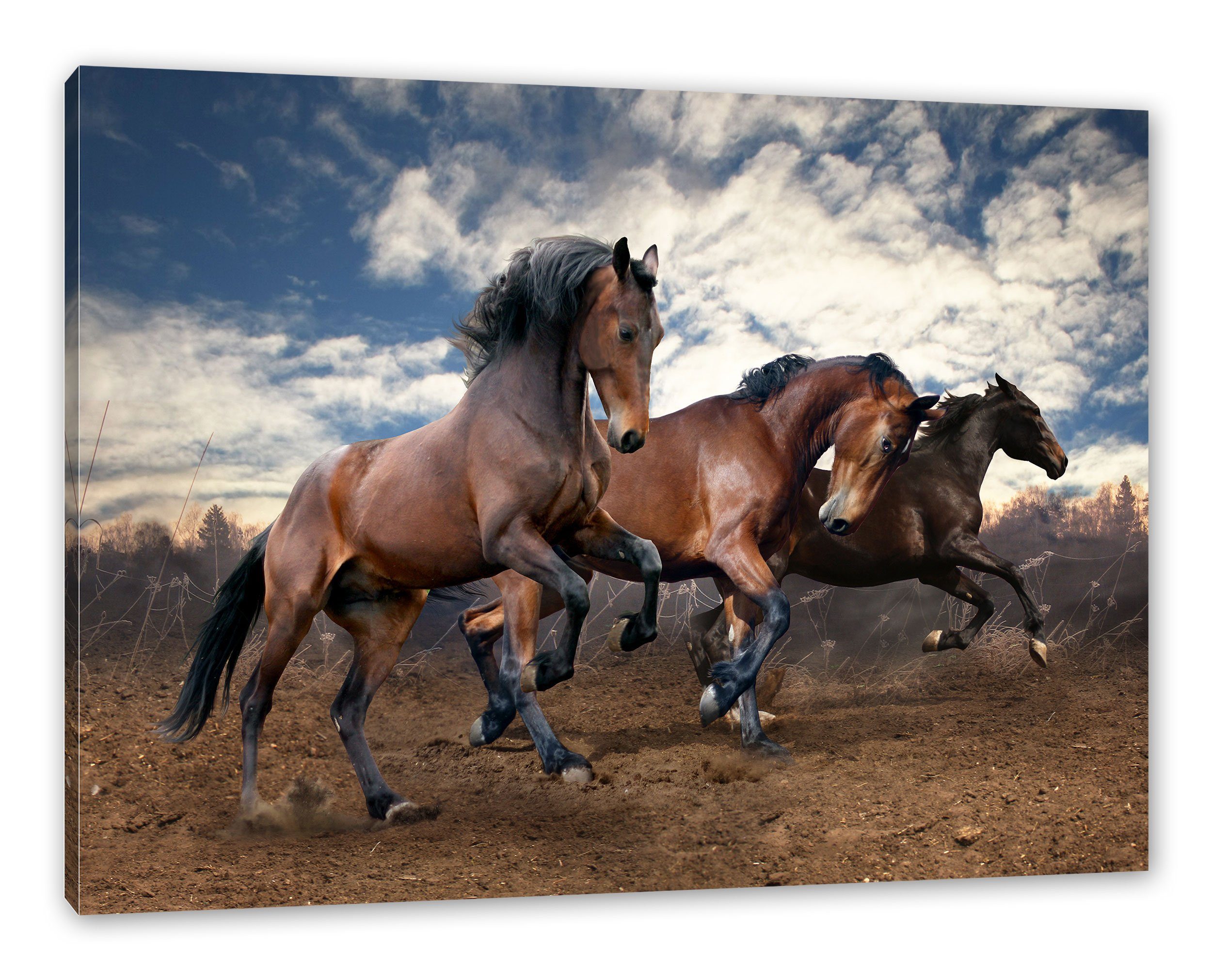 inkl. Pixxprint bespannt, Wilde Zackenaufhänger Wilde Leinwandbild St), freie Pferde fertig freie (1 Pferde, Leinwandbild